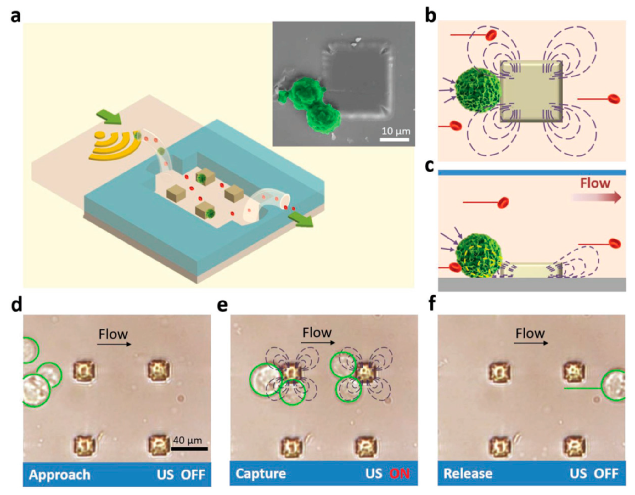 Processes 08 01253 g029