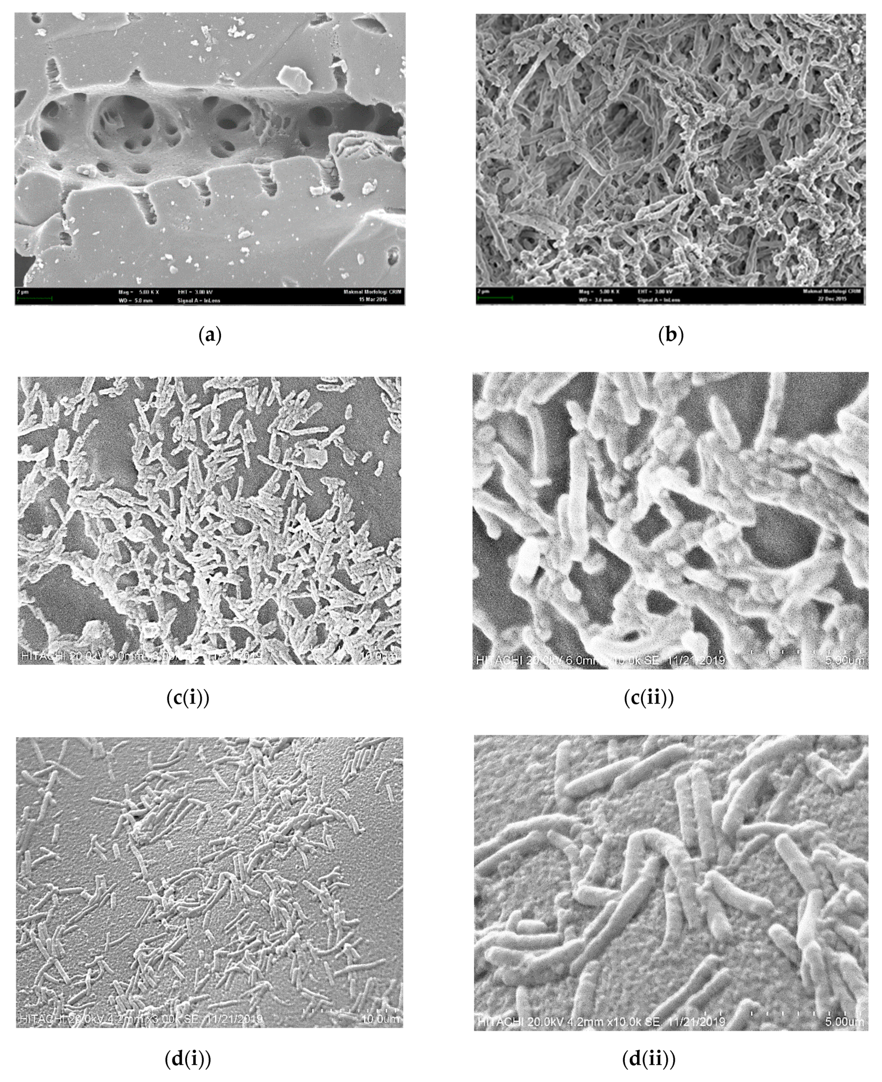 Processes 08 01254 g009 Processes 08 01254 g009