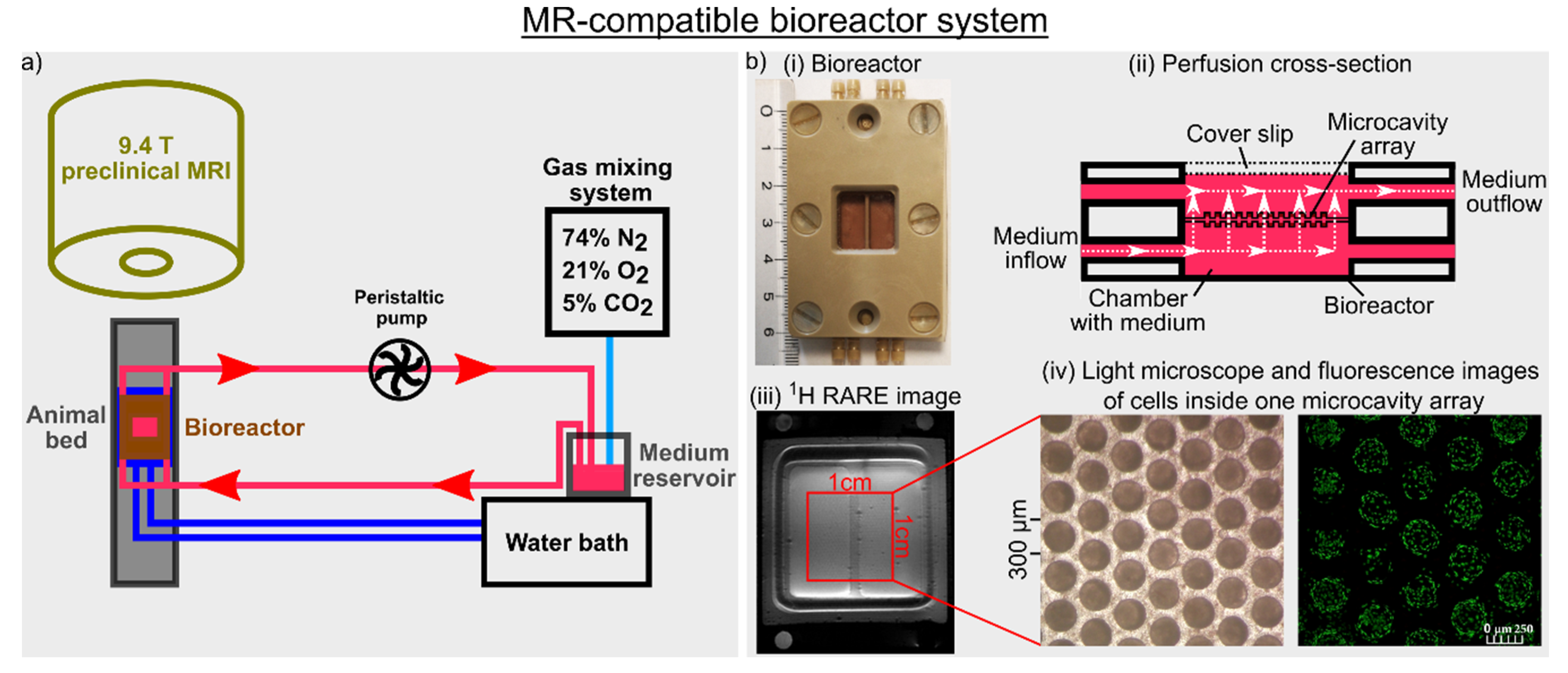 Processes 08 01267 g001