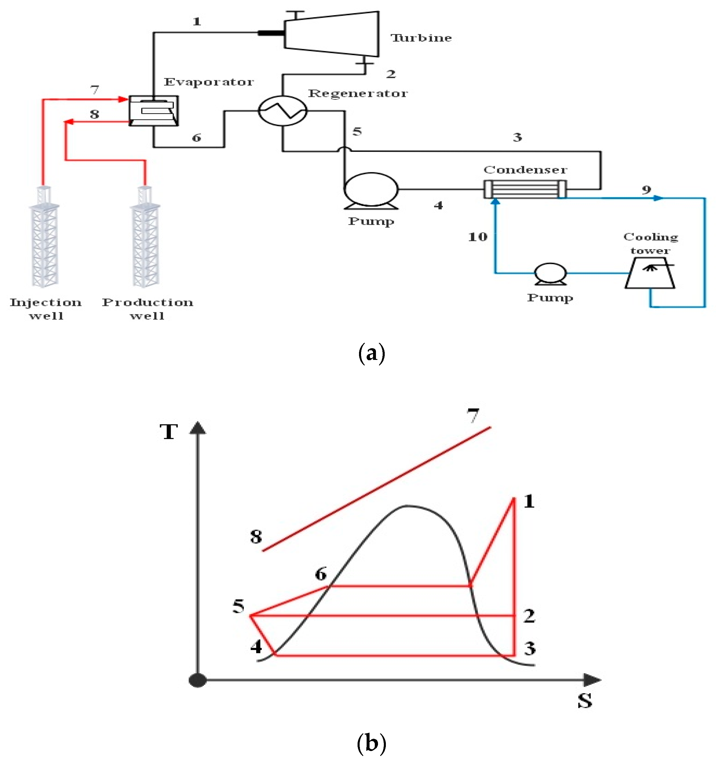 A schematic presentation of the main algorithms of the STEAM model. The