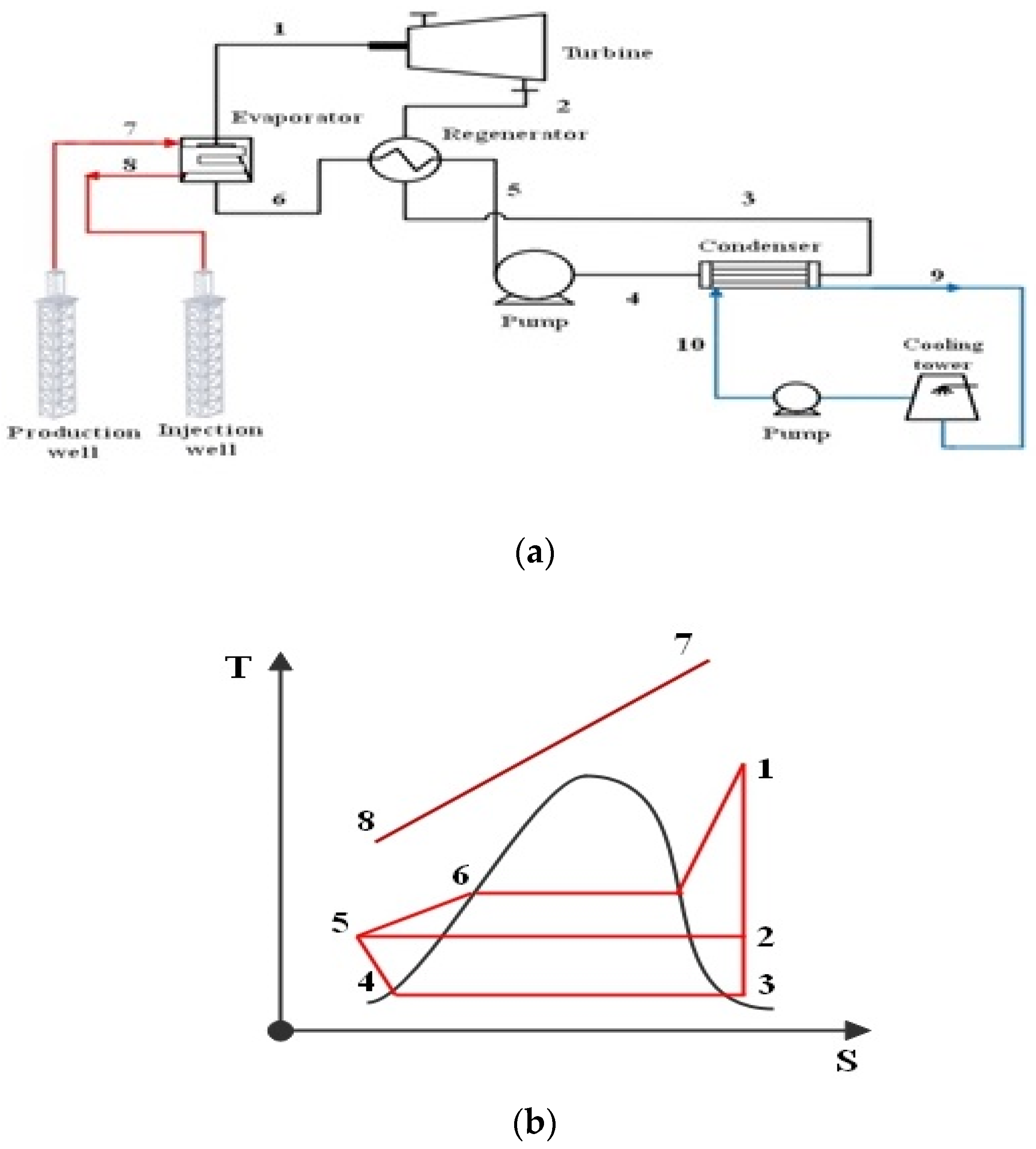 A schematic presentation of the main algorithms of the STEAM model. The