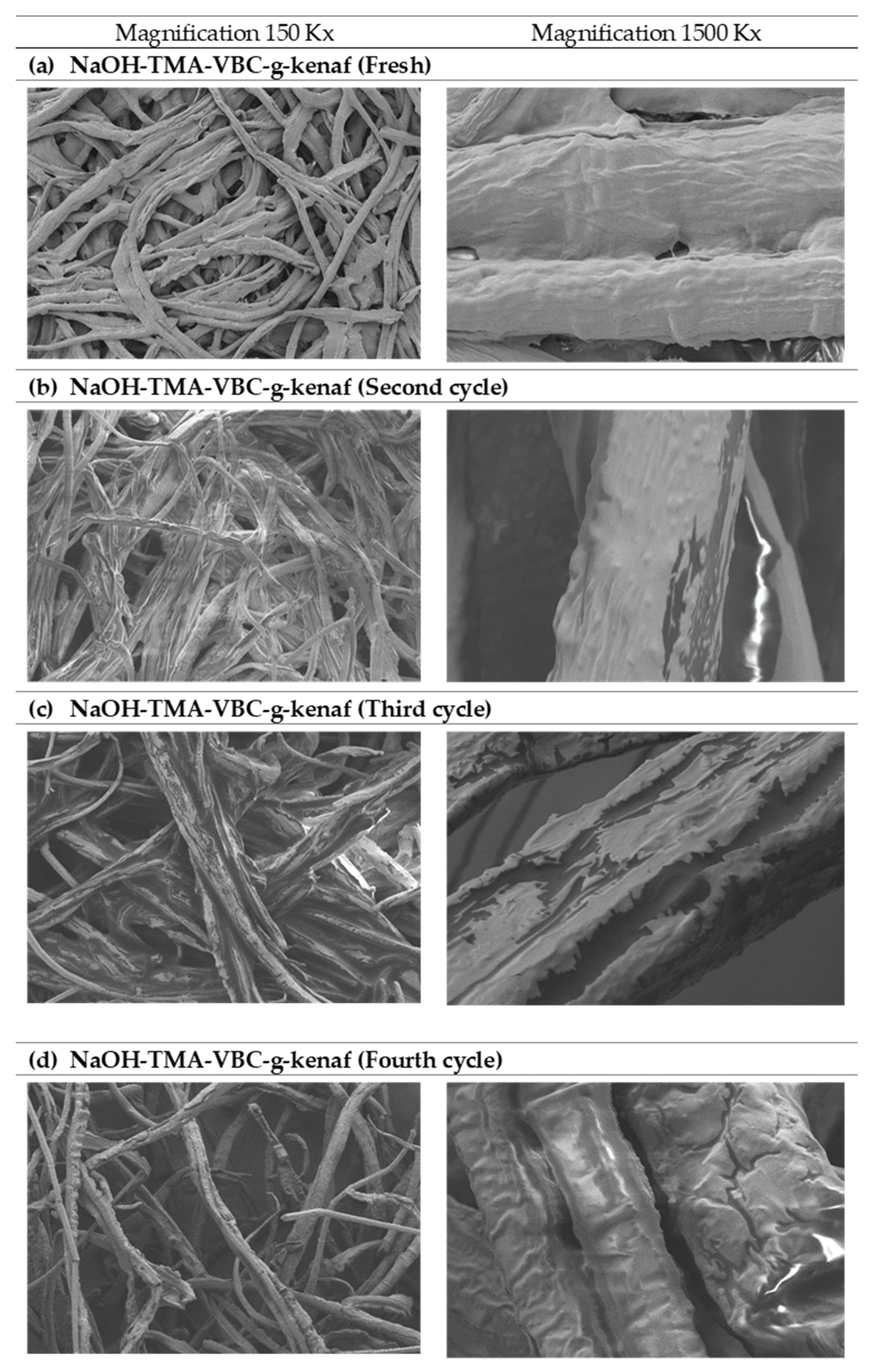 Processes 08 01289 g004