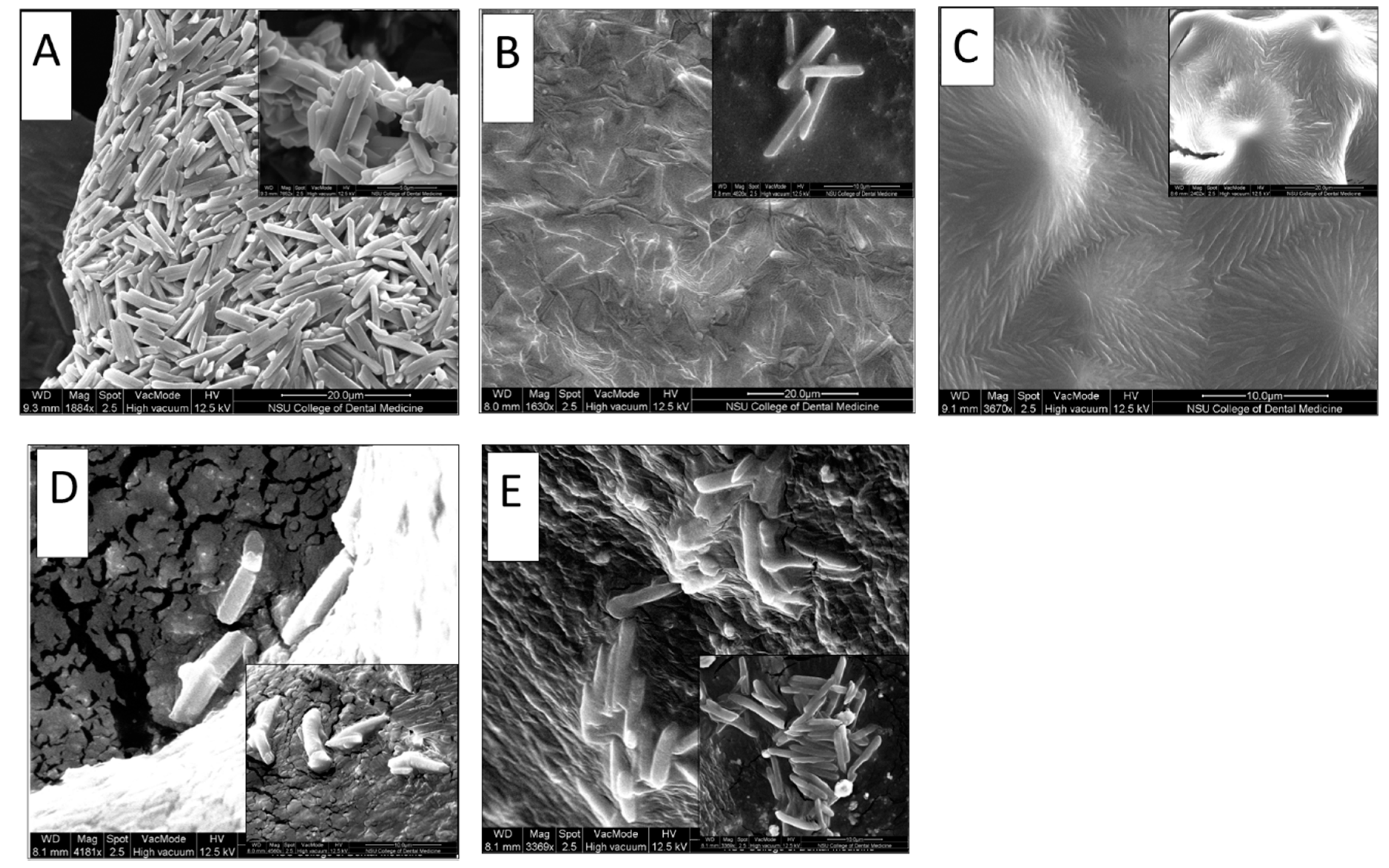 Processes 08 01320 g004 Processes 08 01320 g004
