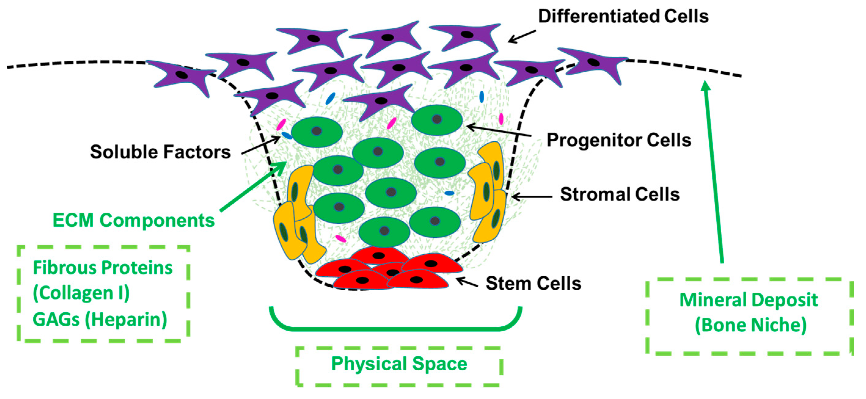 Processes 08 01341 g001 Processes 08 01341 g001
