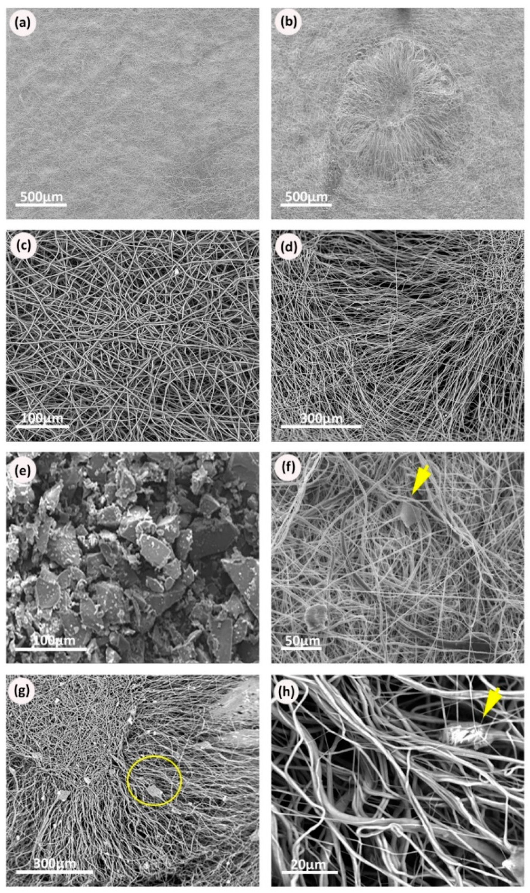 Processes 08 01341 g003 Processes 08 01341 g003