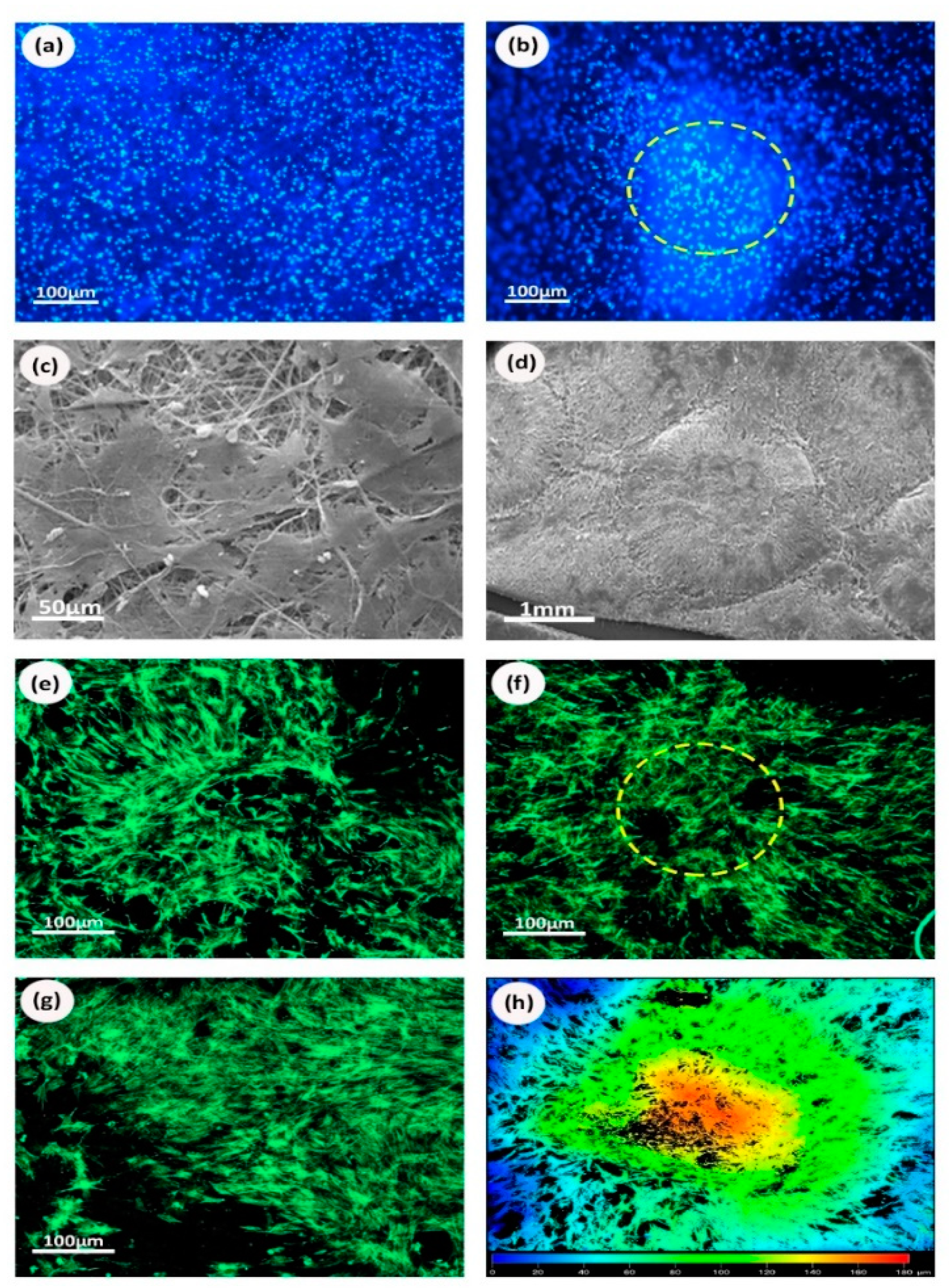 Processes 08 01341 g008 Processes 08 01341 g008