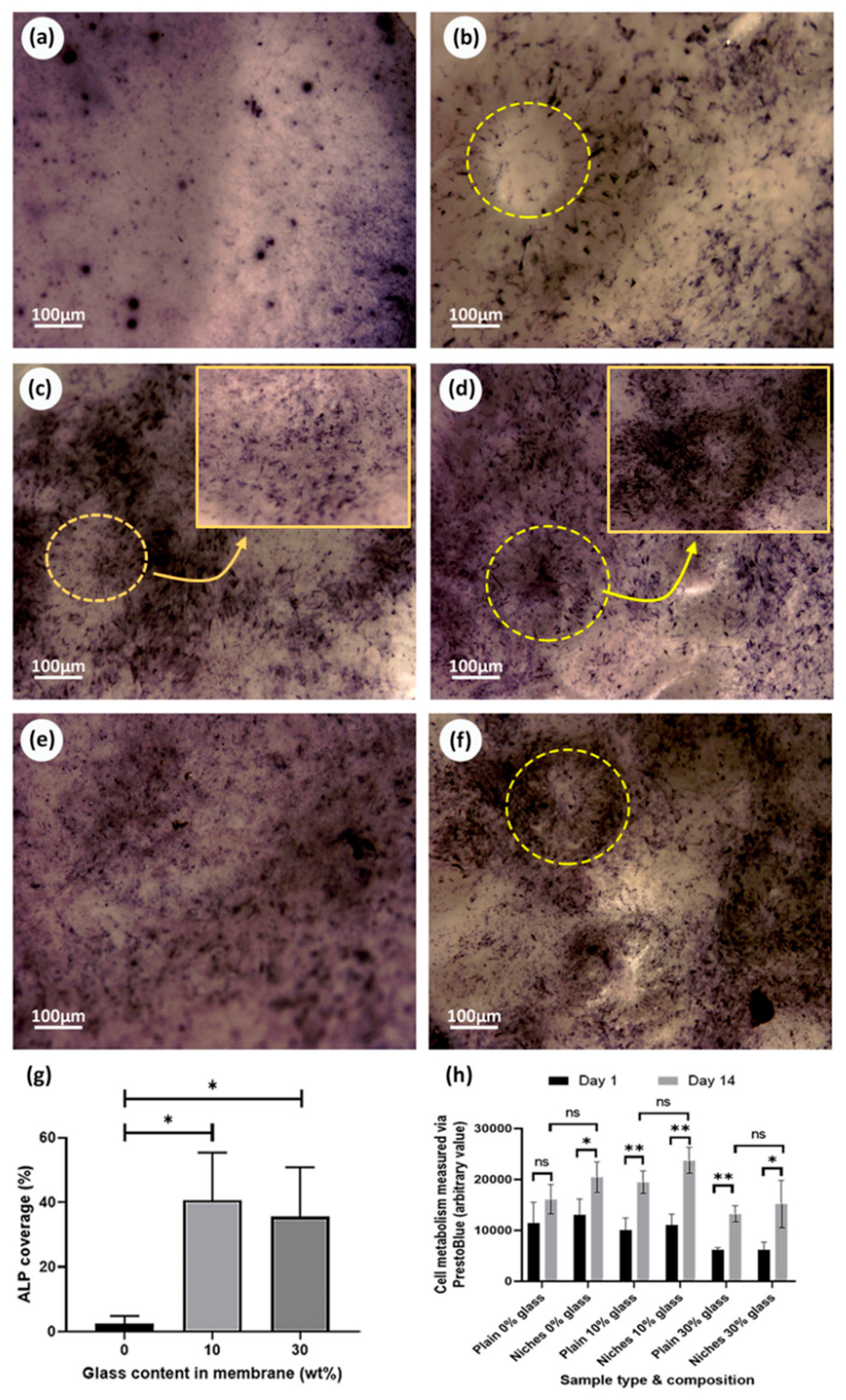 Processes 08 01341 g009 Processes 08 01341 g009