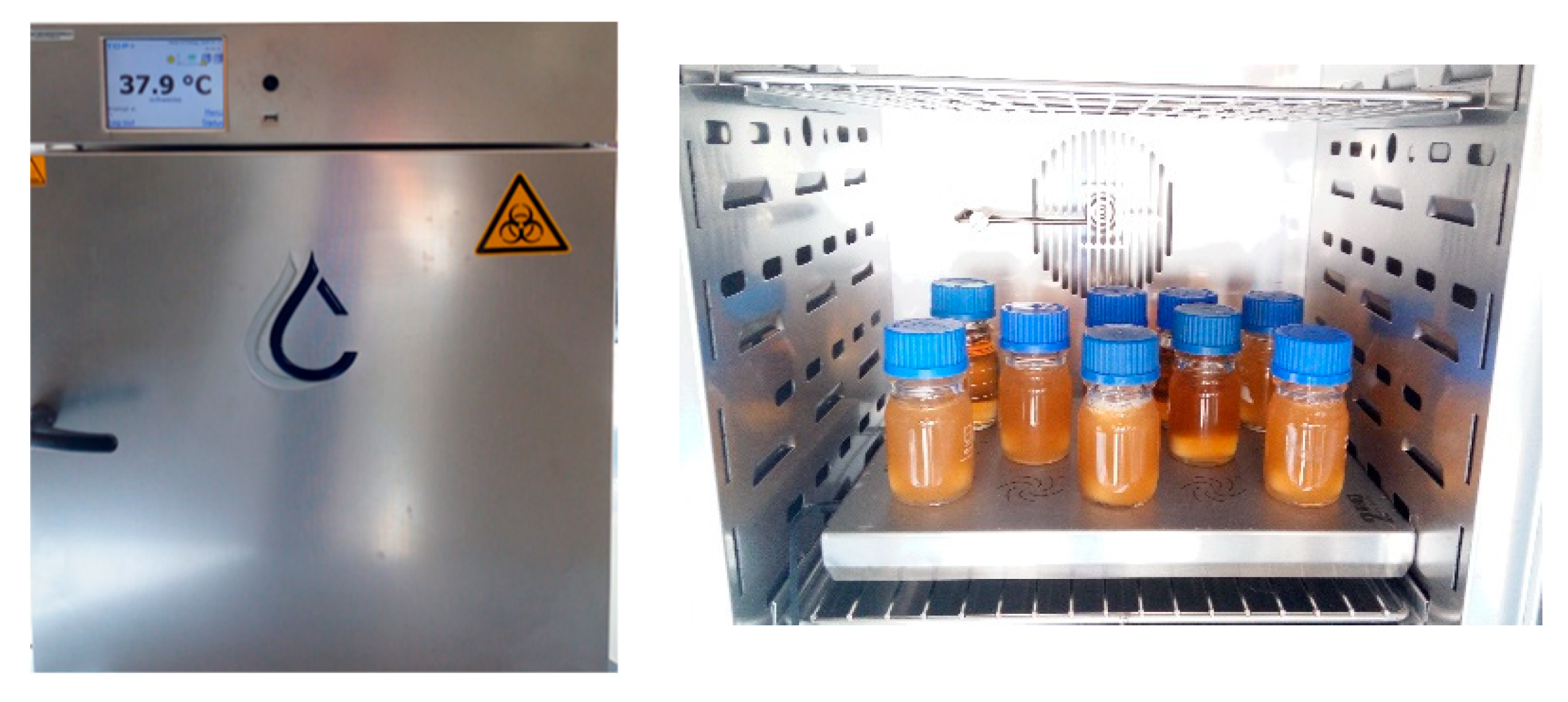 Processes 08 01345 g001