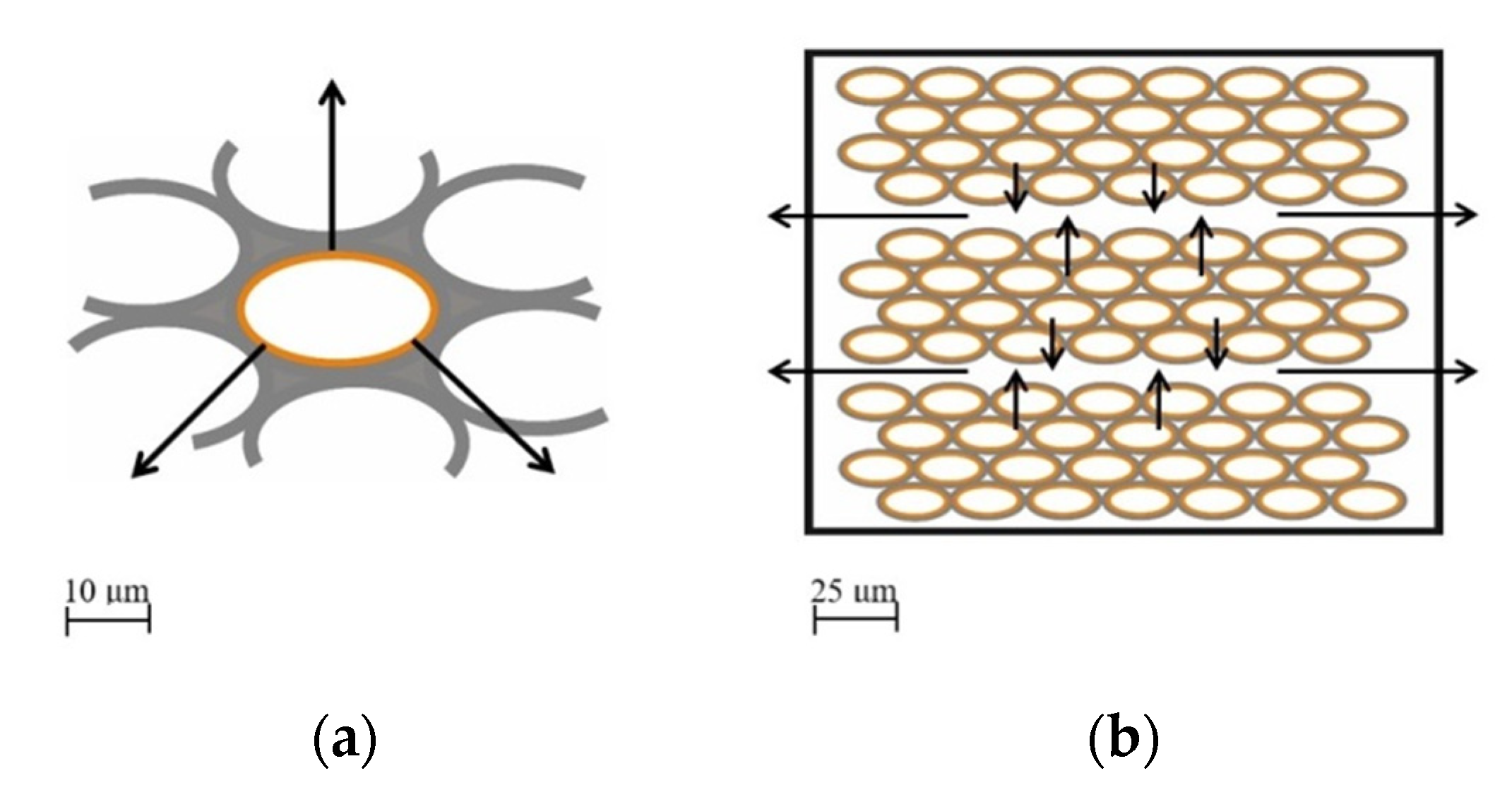 Processes 08 01348 g005