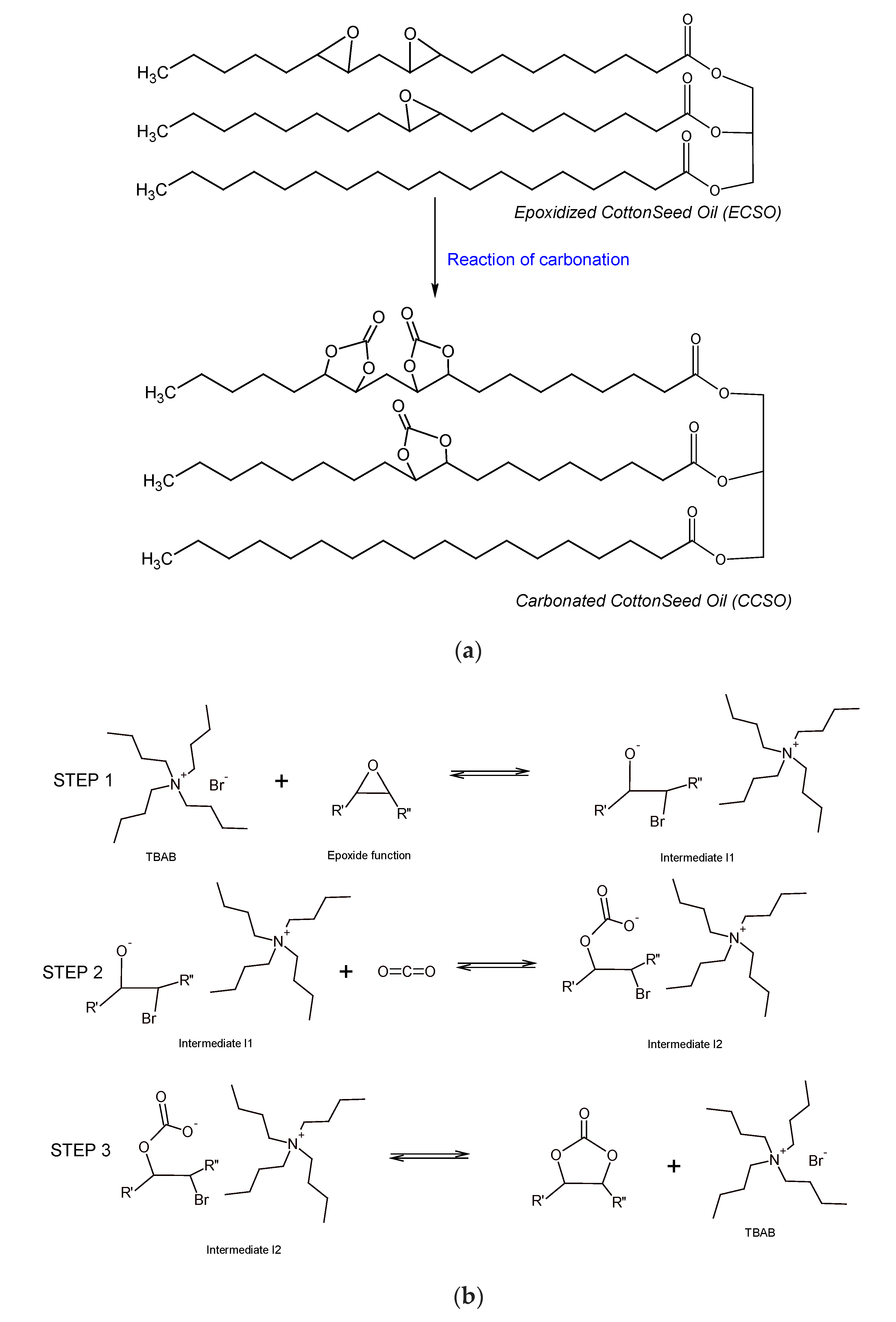 Processes 08 01356 g002