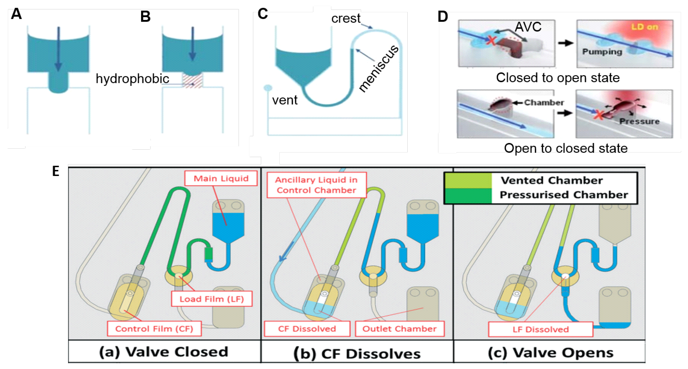 Label the diagram according to the components and processes of a voltaic cell