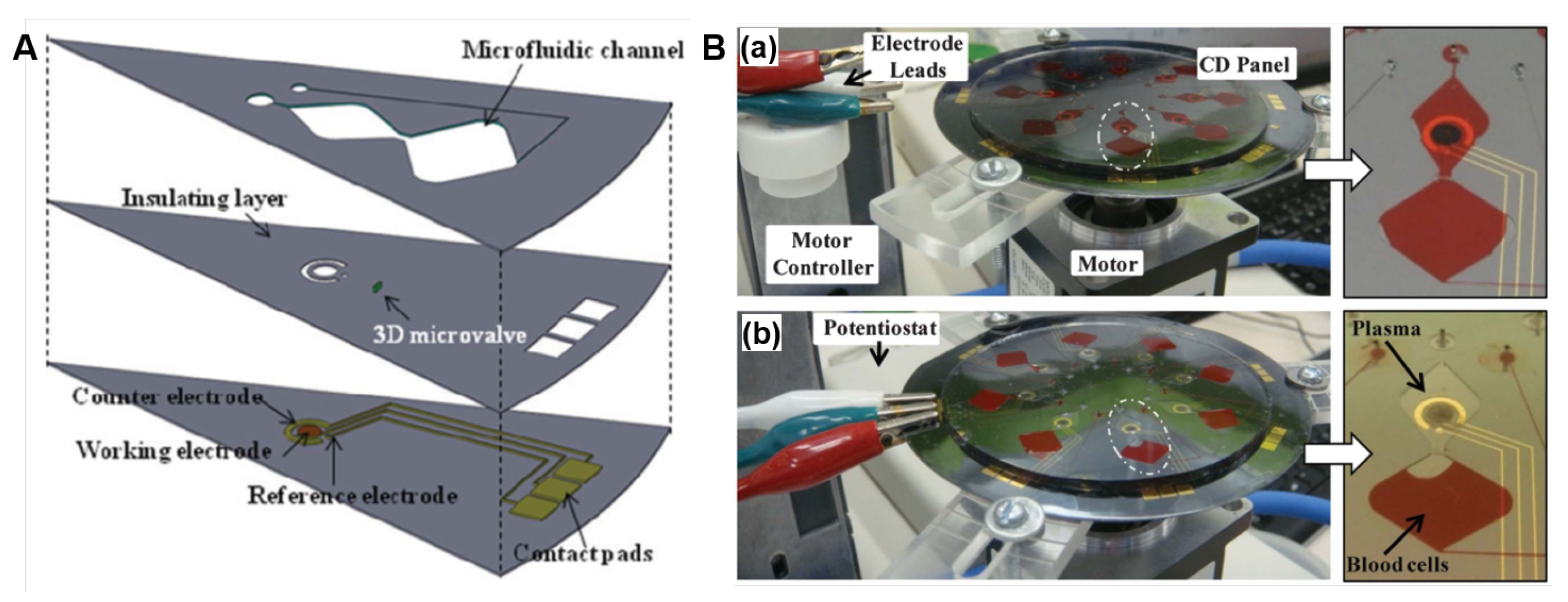 Processes Free FullText Biosensing on the Centrifugal Microfluidic