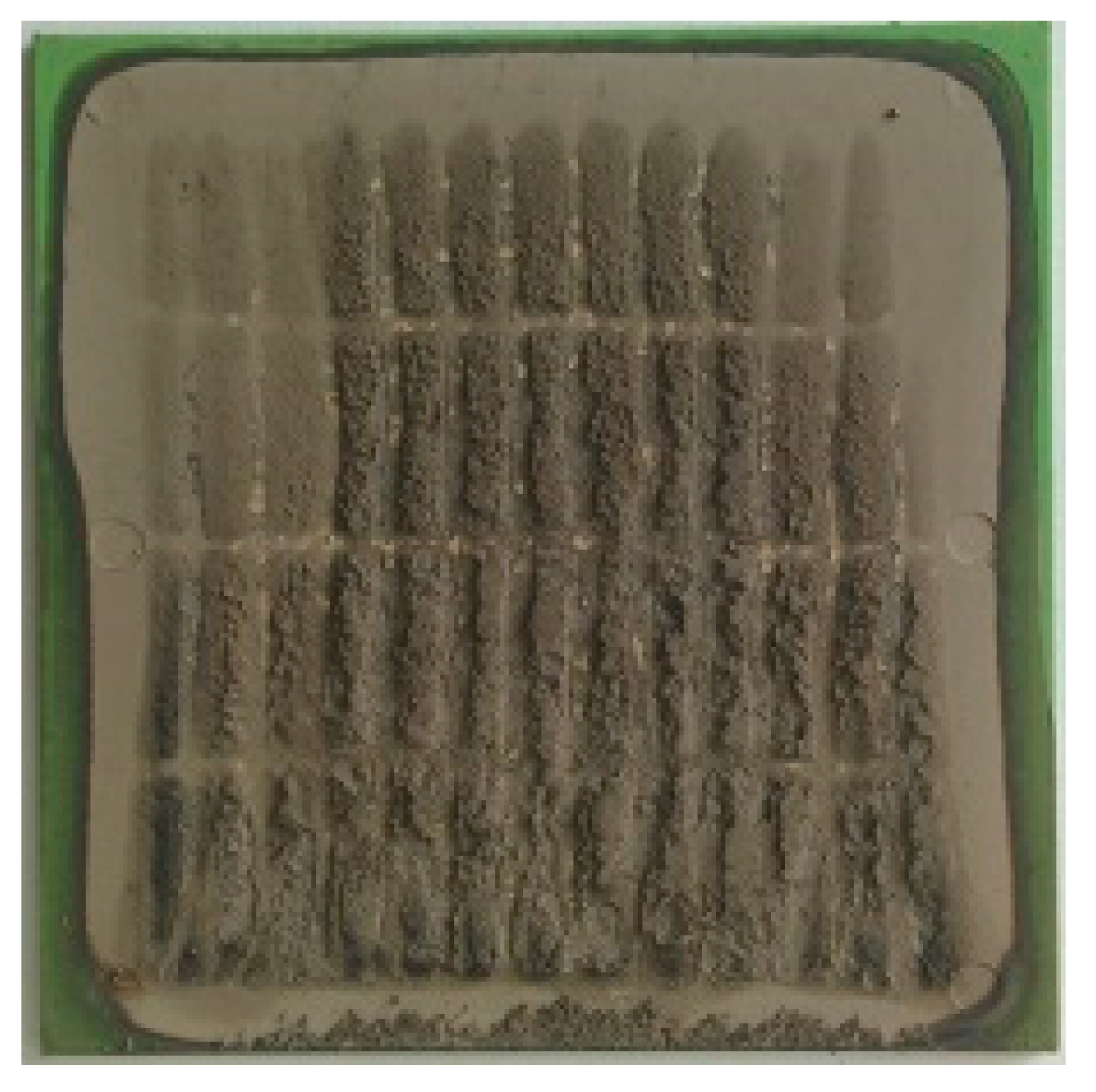 Processes 08 01370 i003