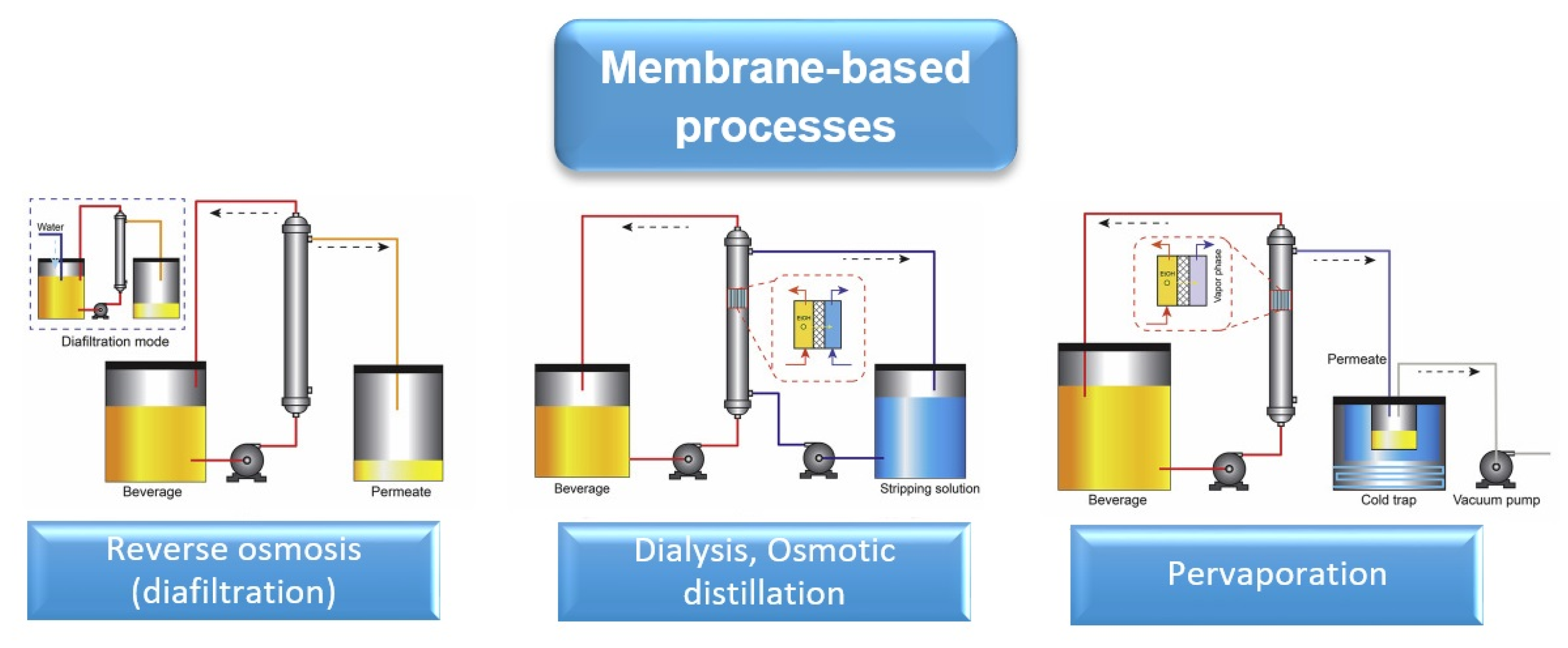 Processes 08 01382 g002