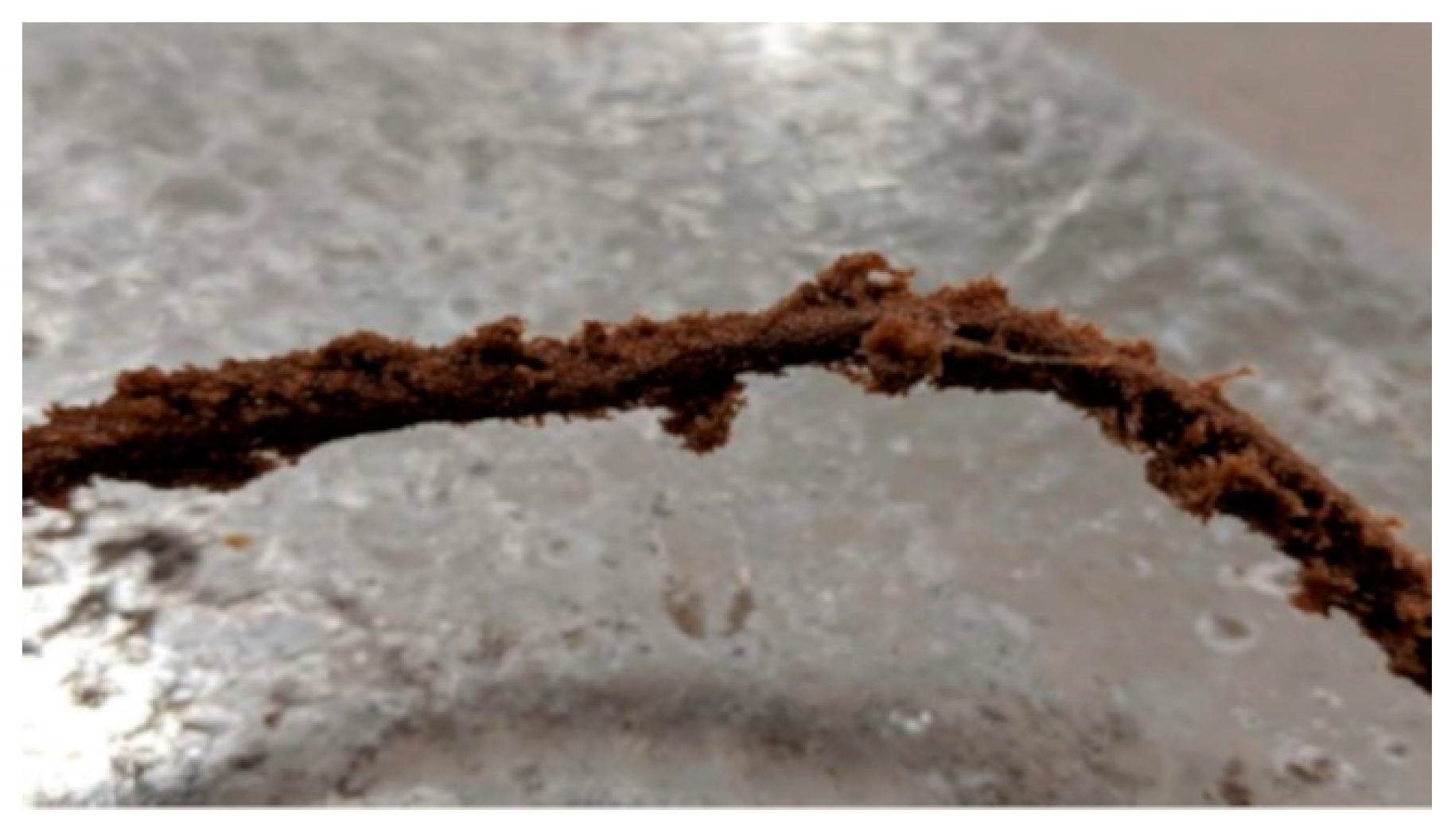 Processes 08 01386 g001