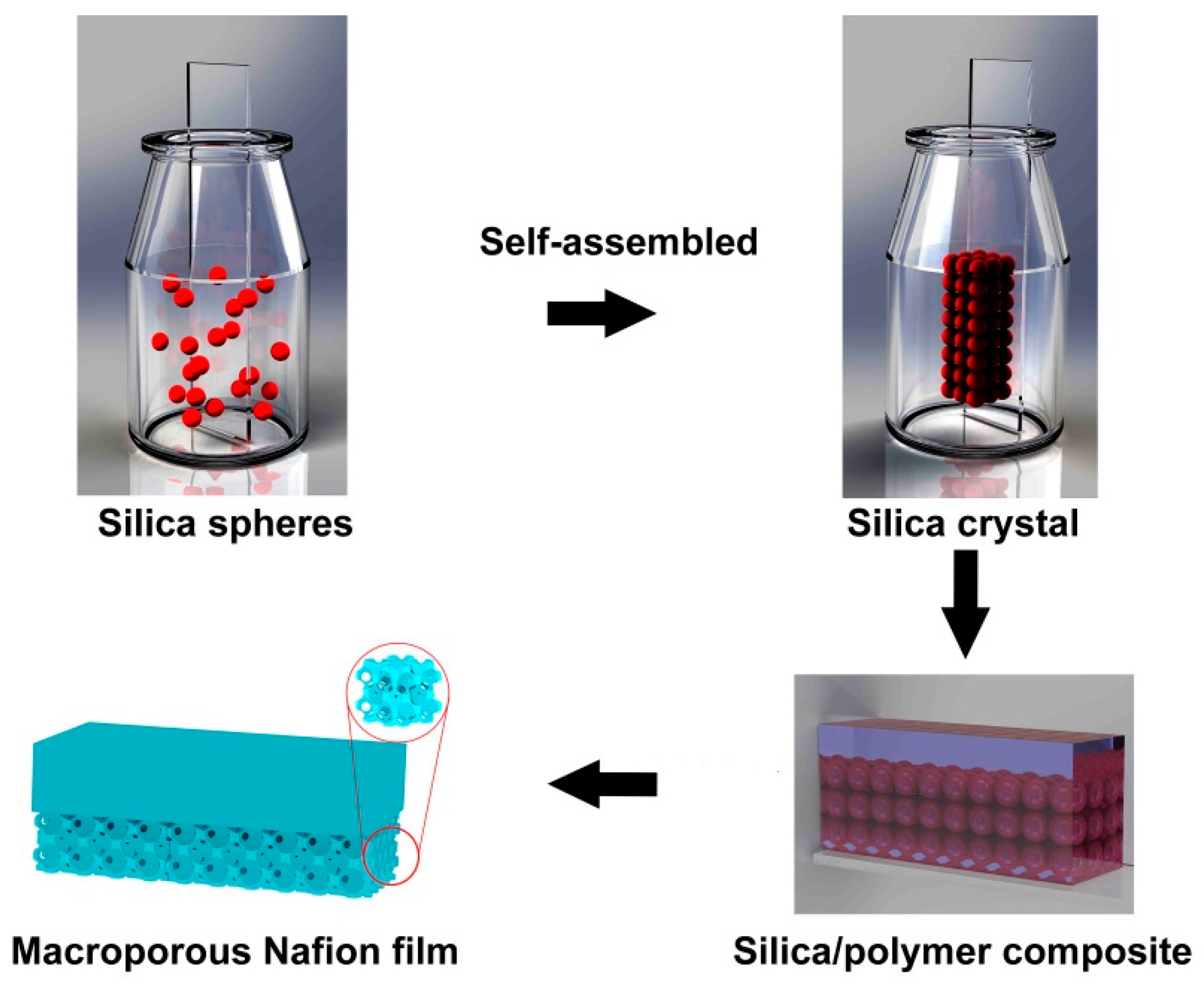 Processes Free FullText Fabrication of Macroporous Nafion Membrane