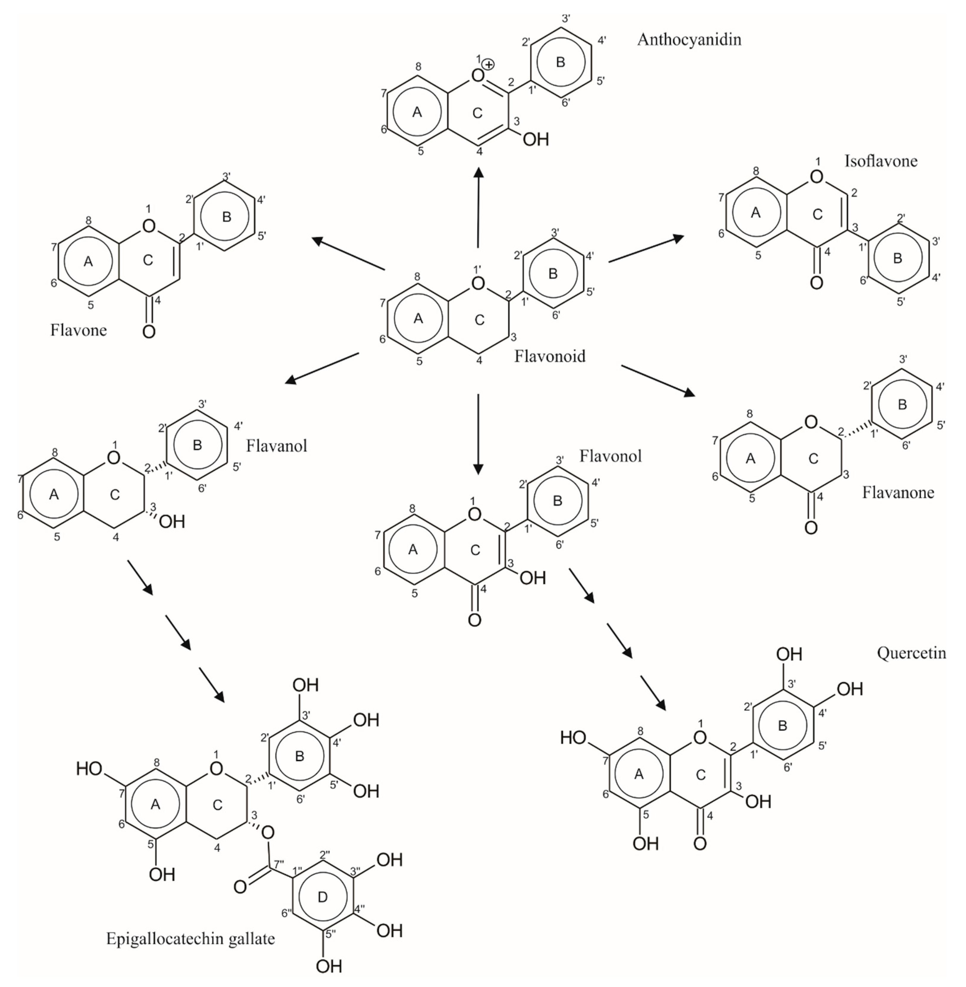 Processes 08 01393 sch001 Processes 08 01393 sch001
