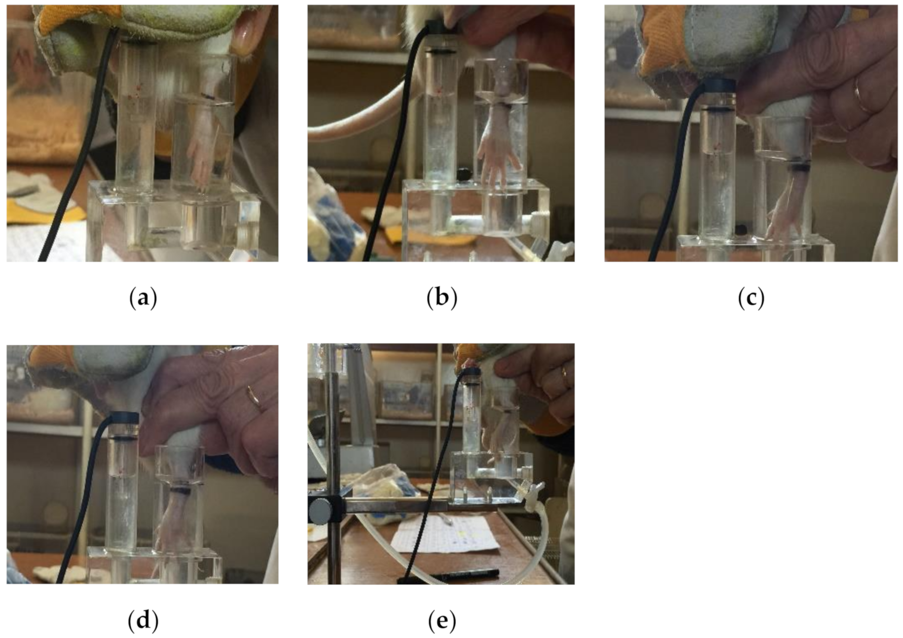 Processes 08 01401 g002 Processes 08 01401 g002