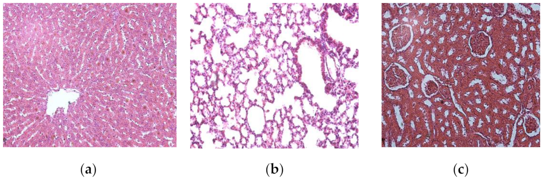 Processes 08 01401 g004 Processes 08 01401 g004