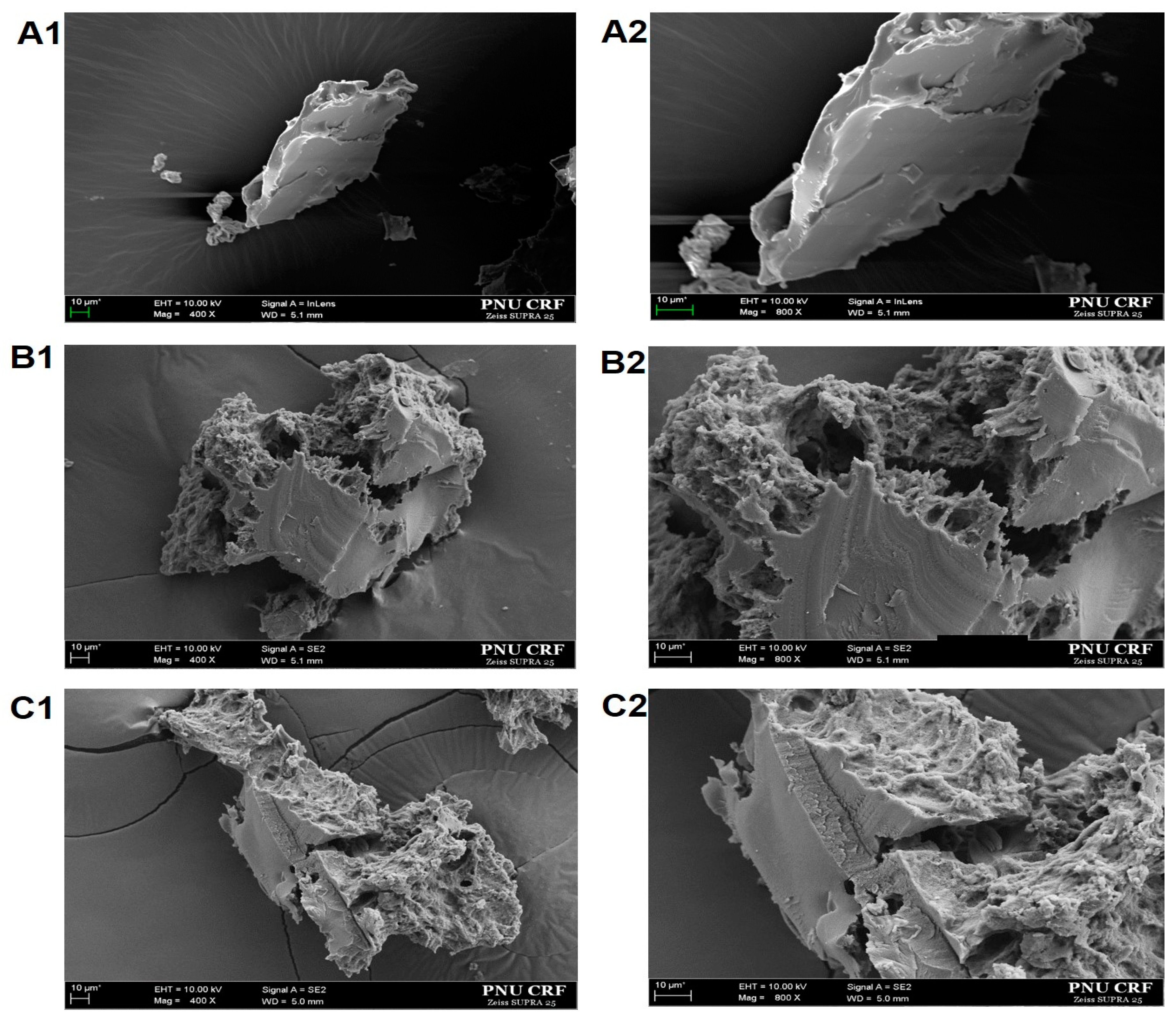 Processes 08 01409 g002 Processes 08 01409 g002