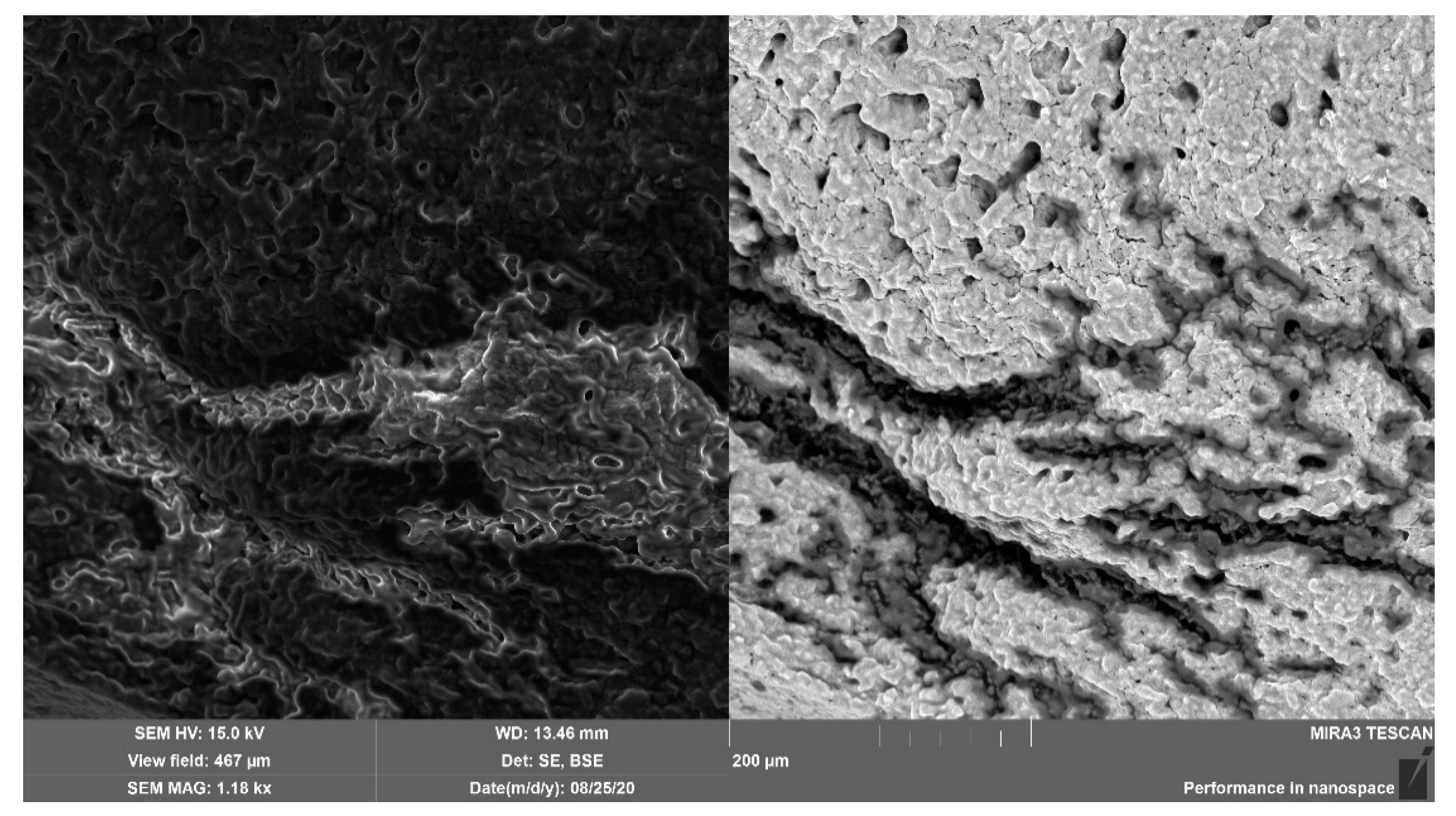 Processes 08 01416 g001