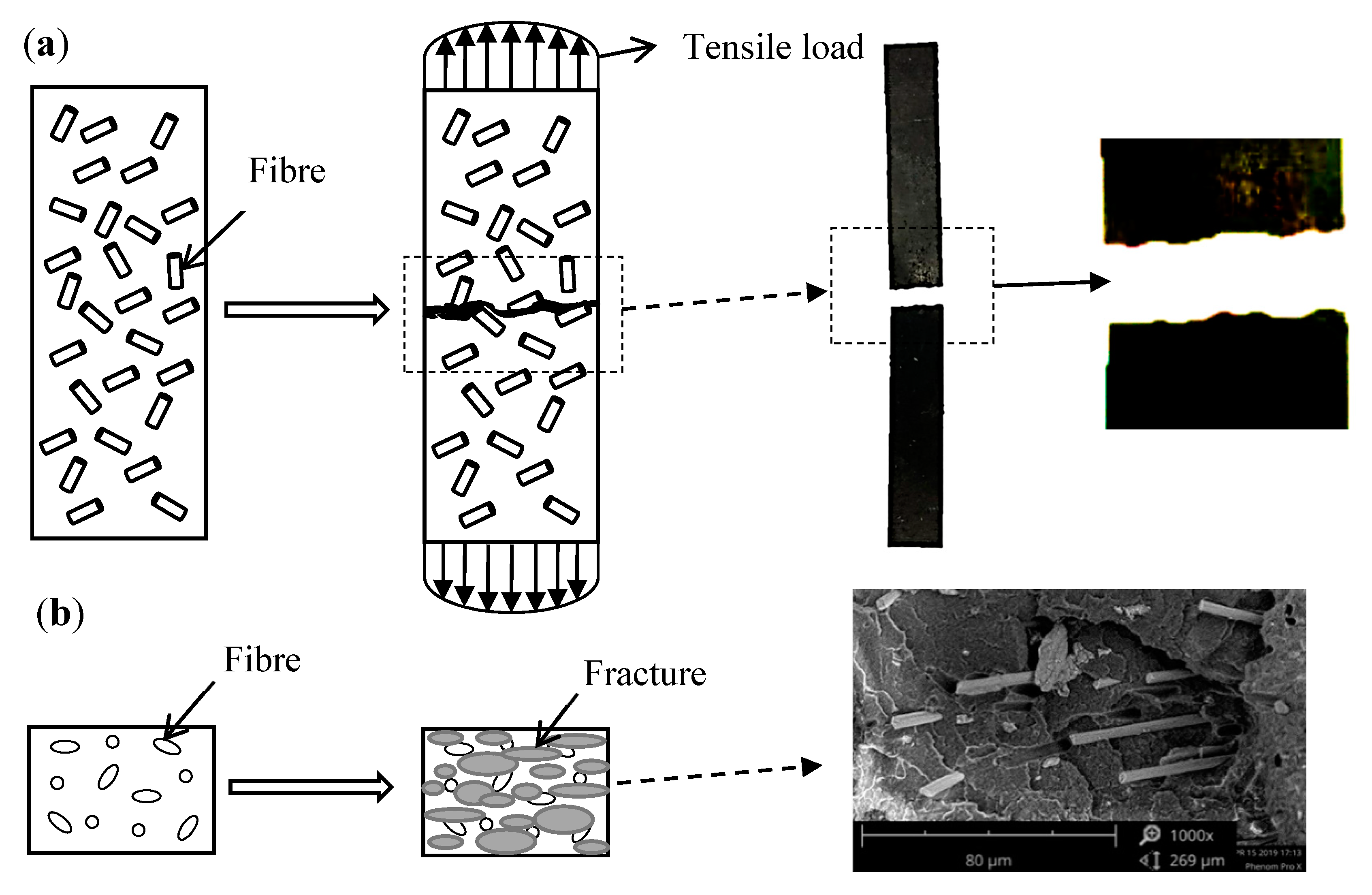 Processes 08 01434 g005 Processes 08 01434 g005