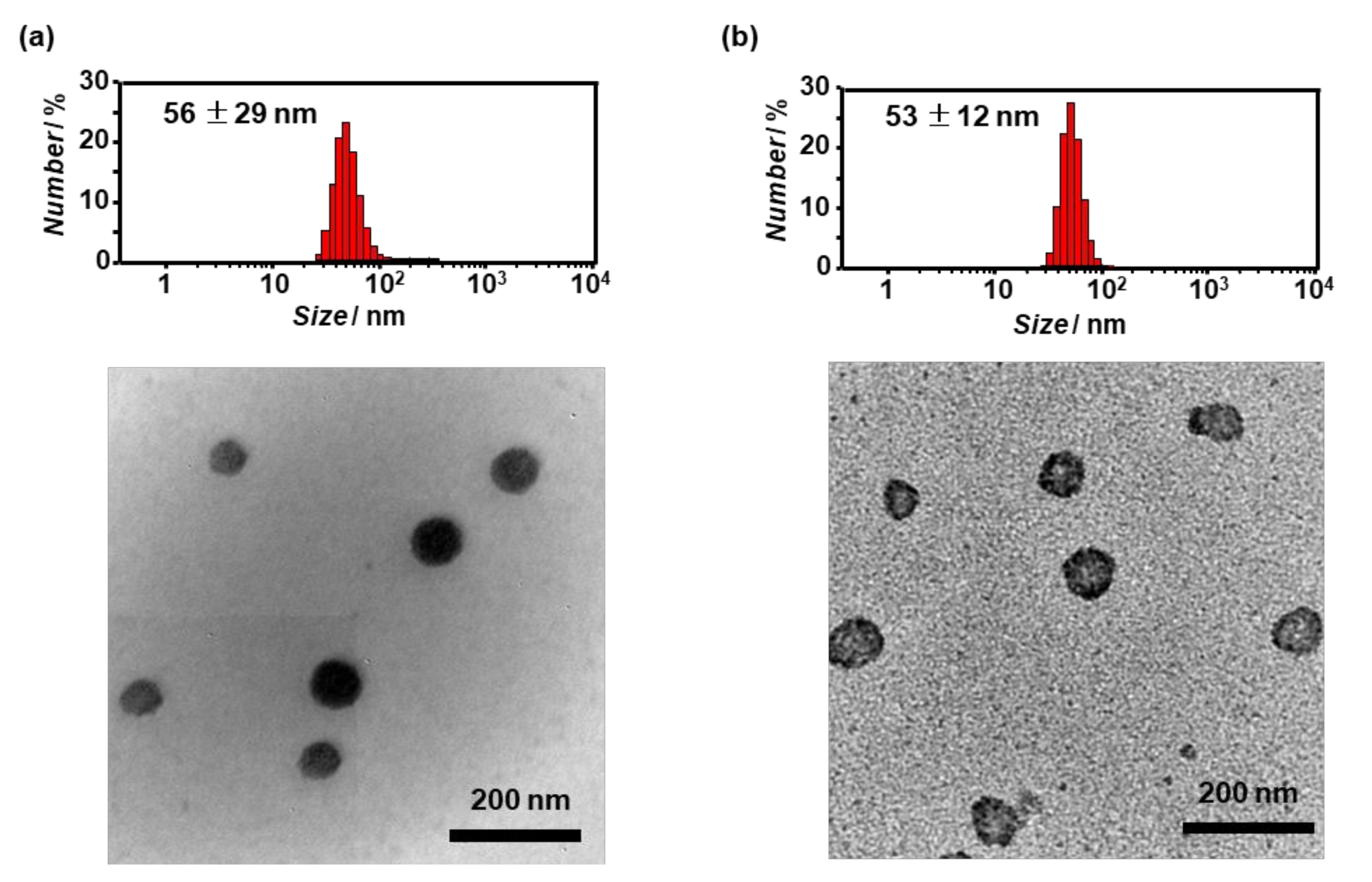 Processes 08 01455 g003