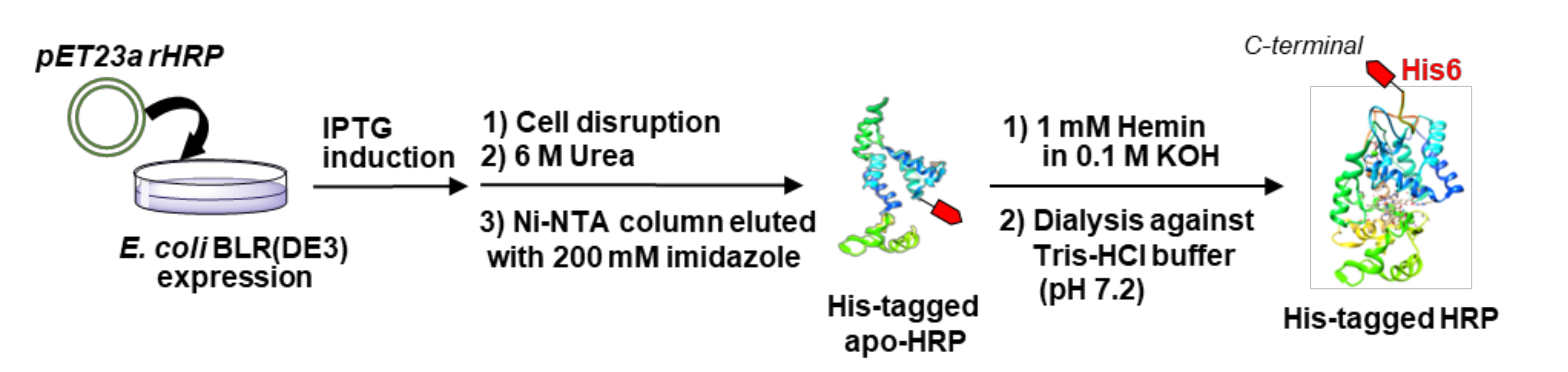 Processes 08 01455 g005