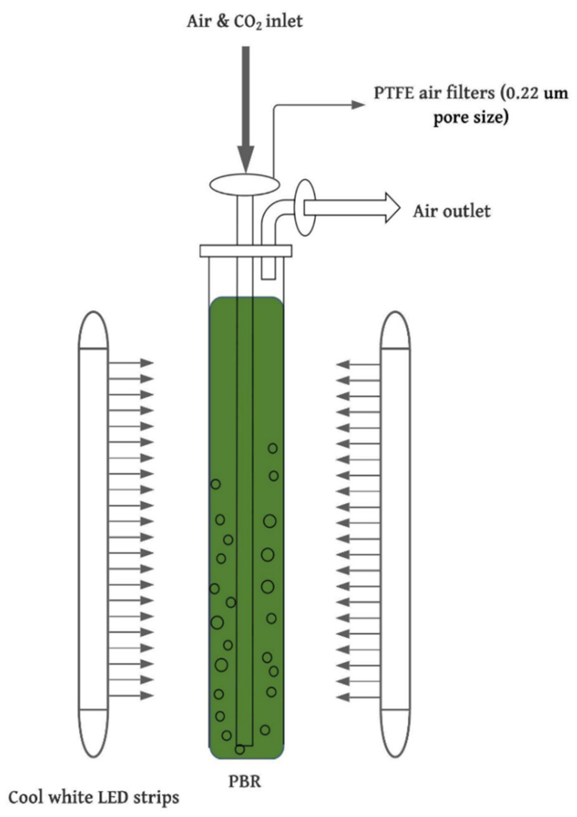 Processes 08 01458 g002