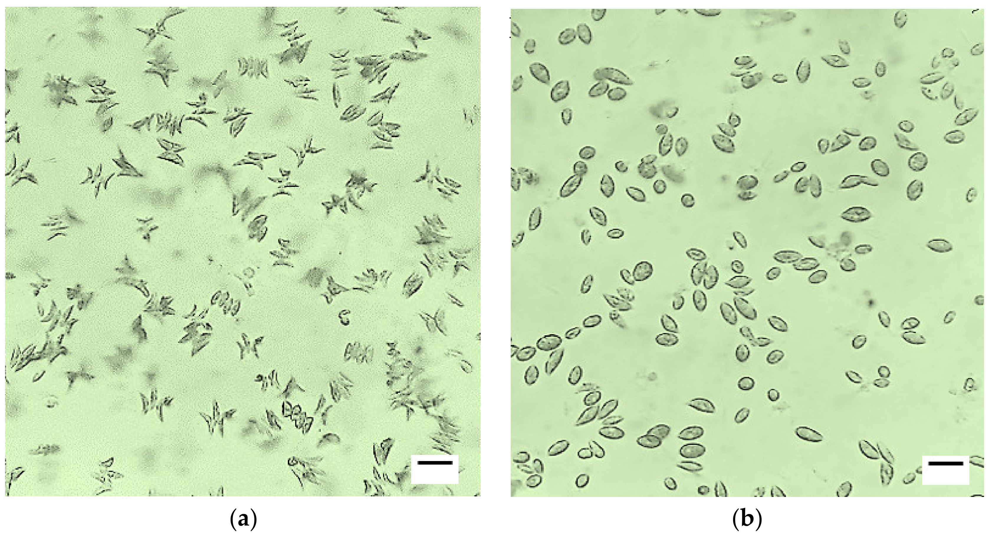 Processes 08 01458 g007
