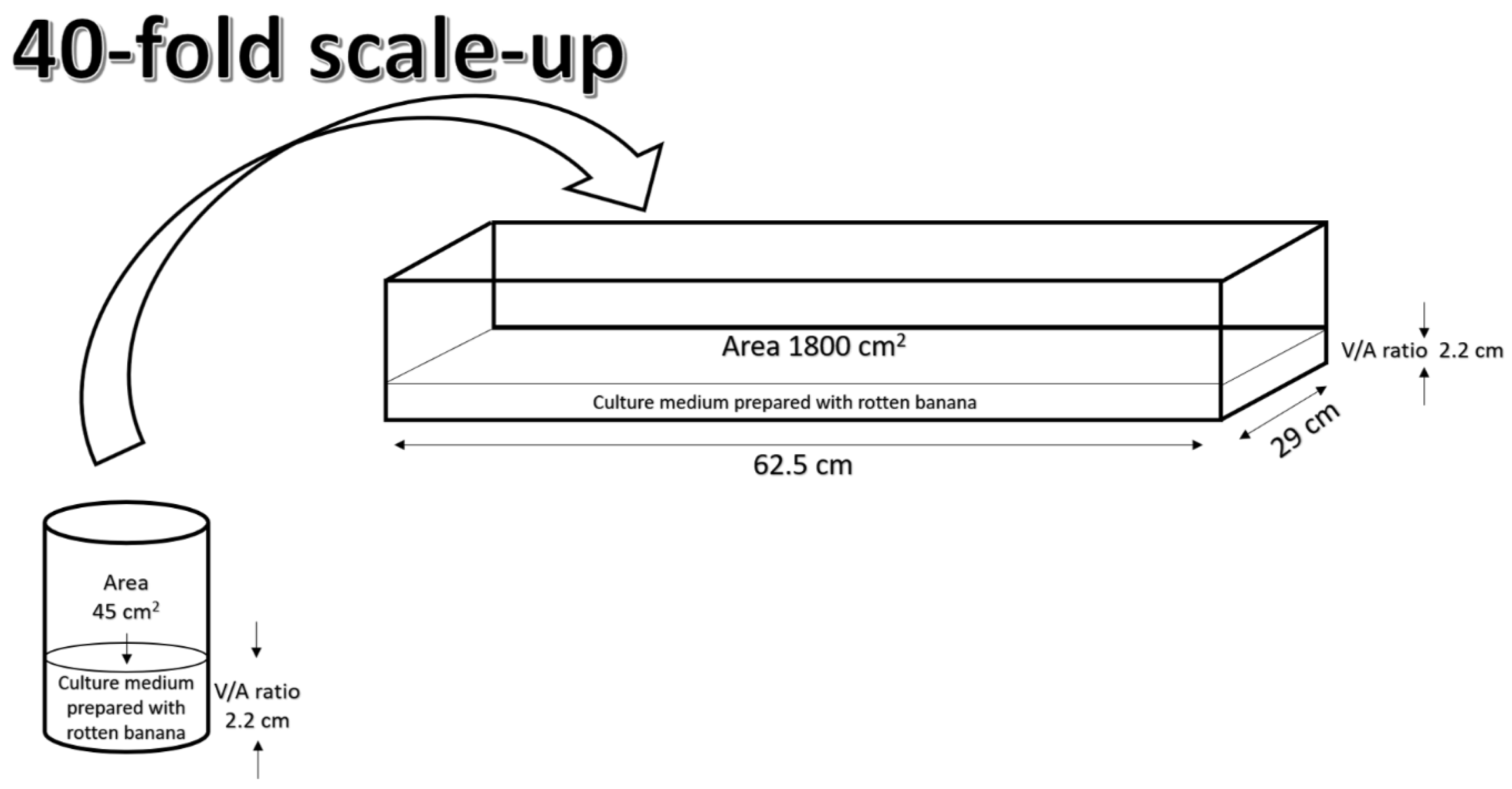 Processes 08 01469 g004 Processes 08 01469 g004