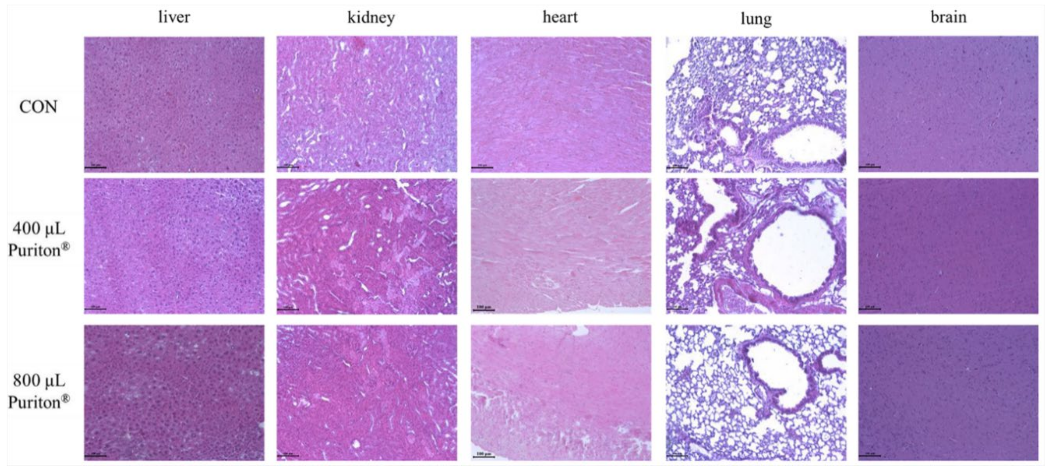 Processes 08 01481 g005