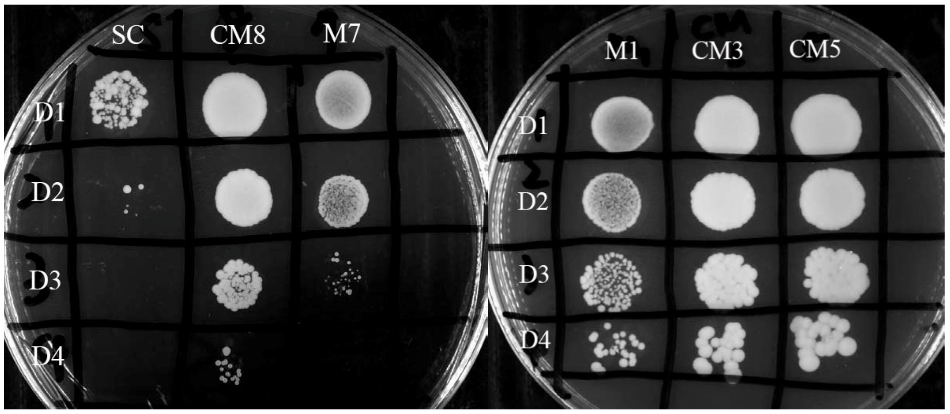 Processes 08 01483 g001