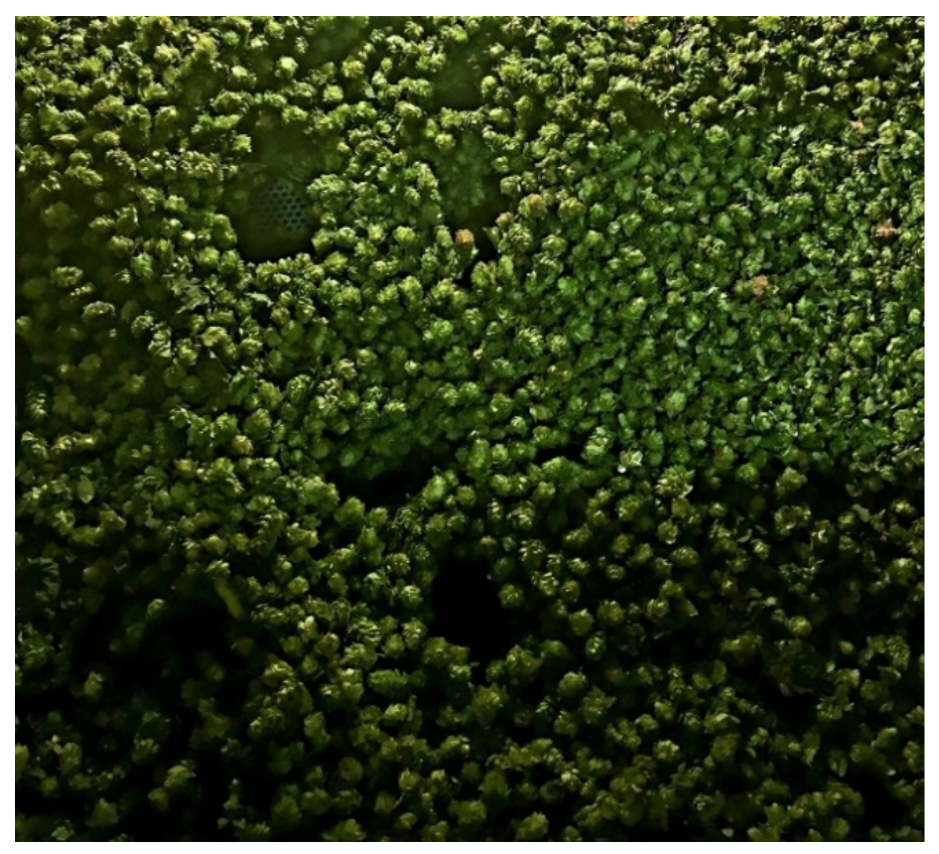 Processes 08 01507 g007