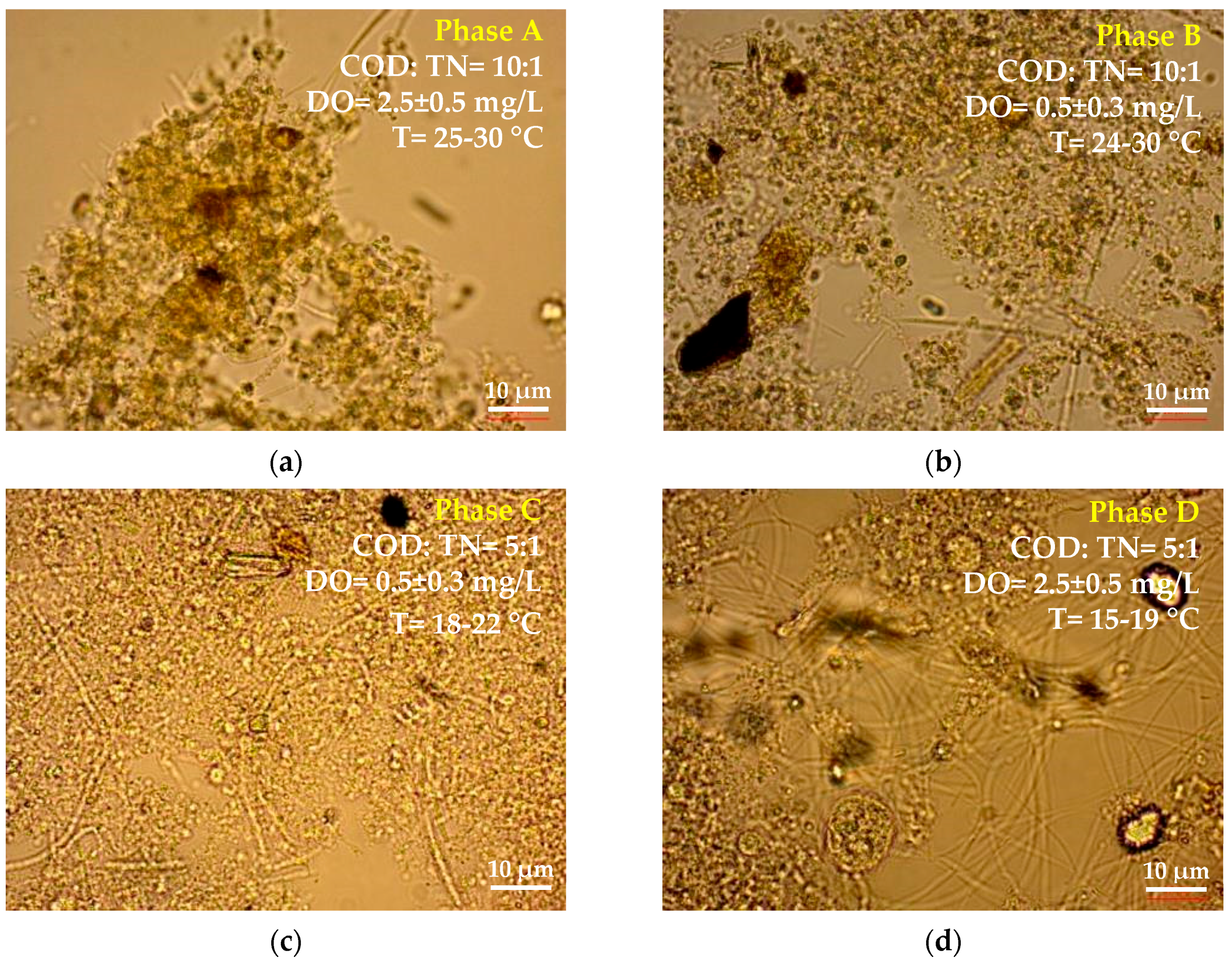 Processes 08 01514 g003 Processes 08 01514 g003