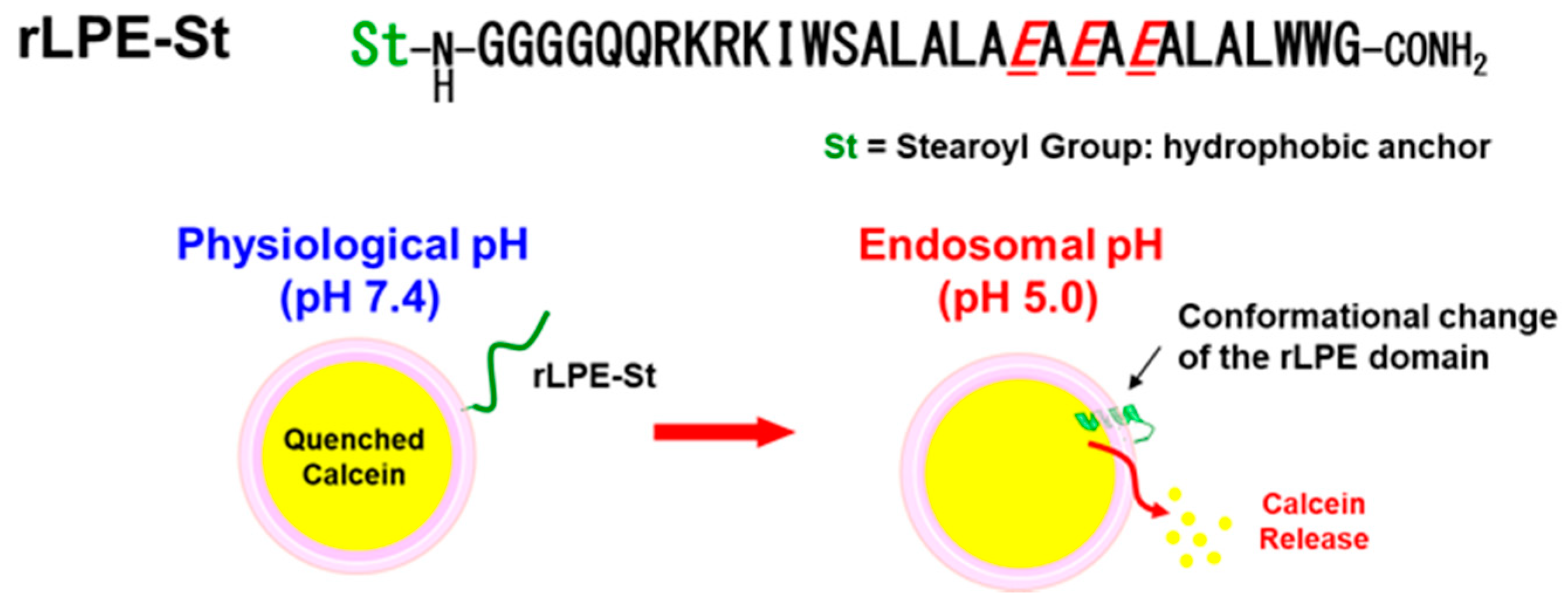 Processes 08 01526 g003