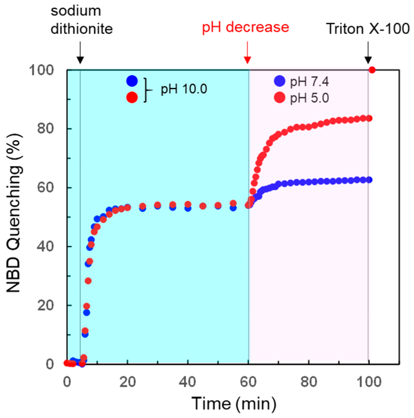 Processes 08 01526 g007