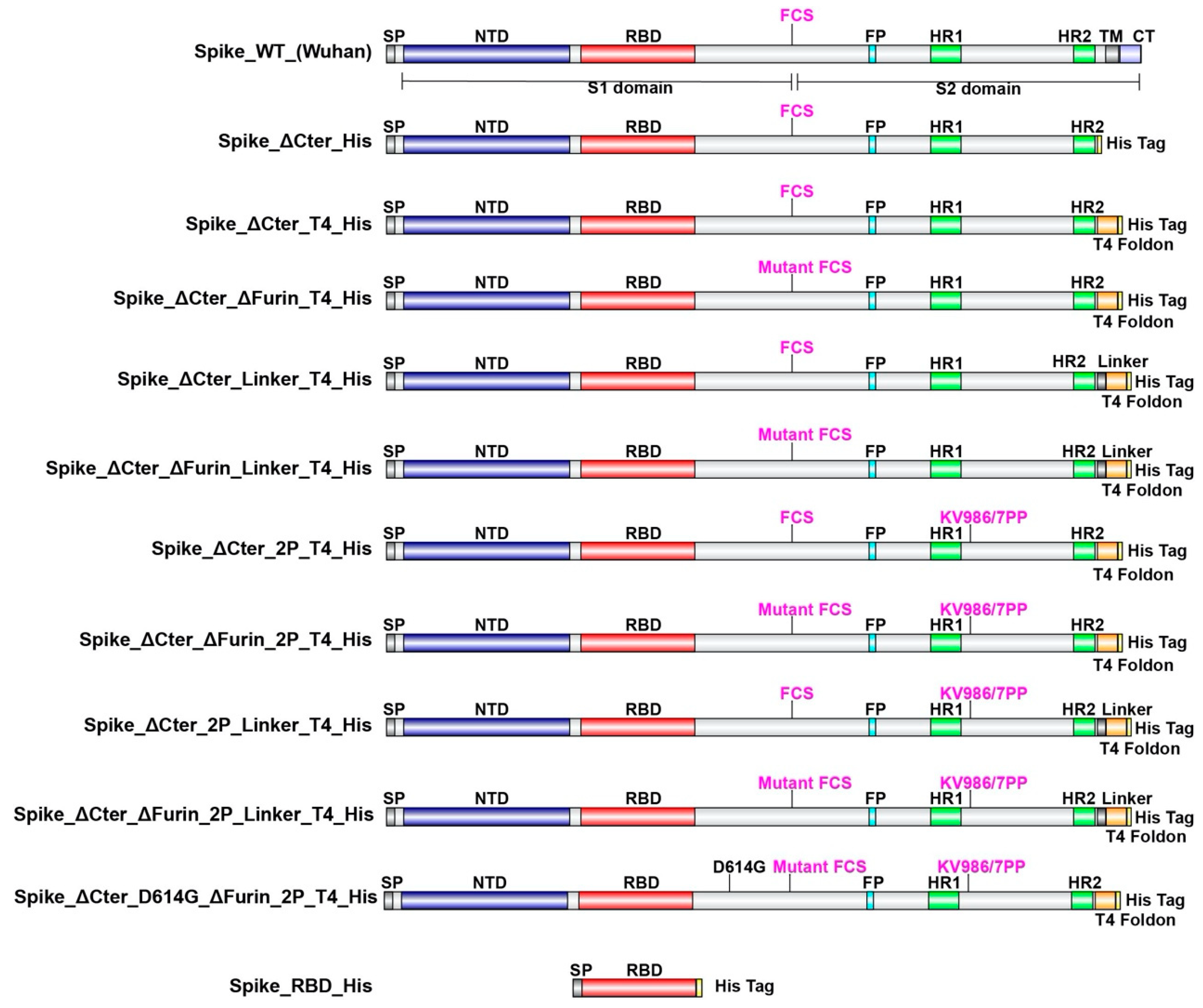 Processes 08 01539 g001 Processes 08 01539 g001