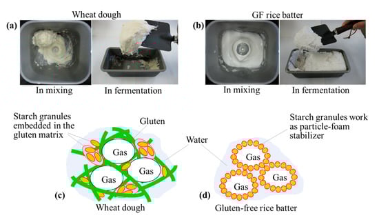 Processes Free Full Text Development Of New Bread And Cheese Html Processes Free Full Text Development Of New Bread And Cheese Html
