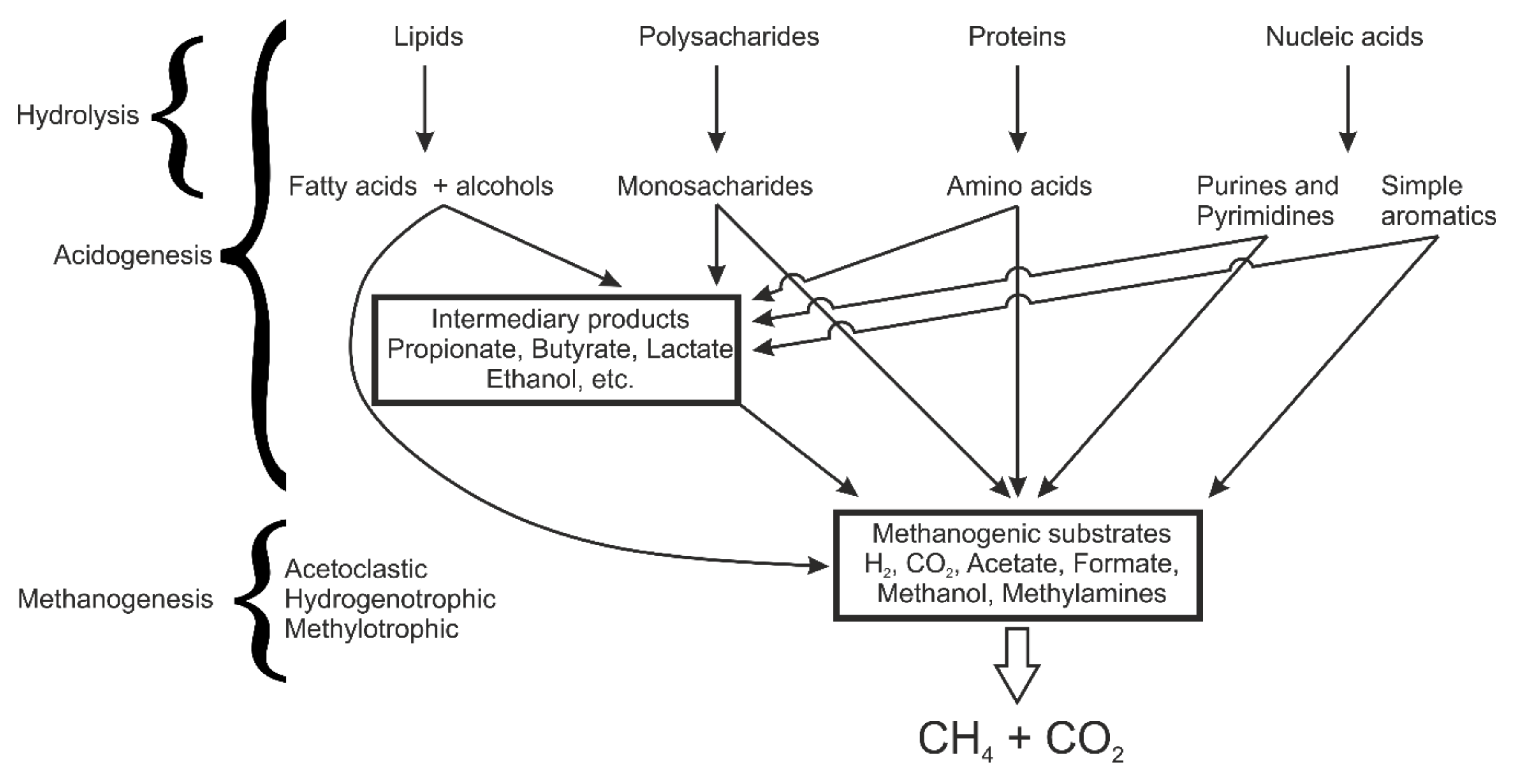 Processes 08 01546 g003