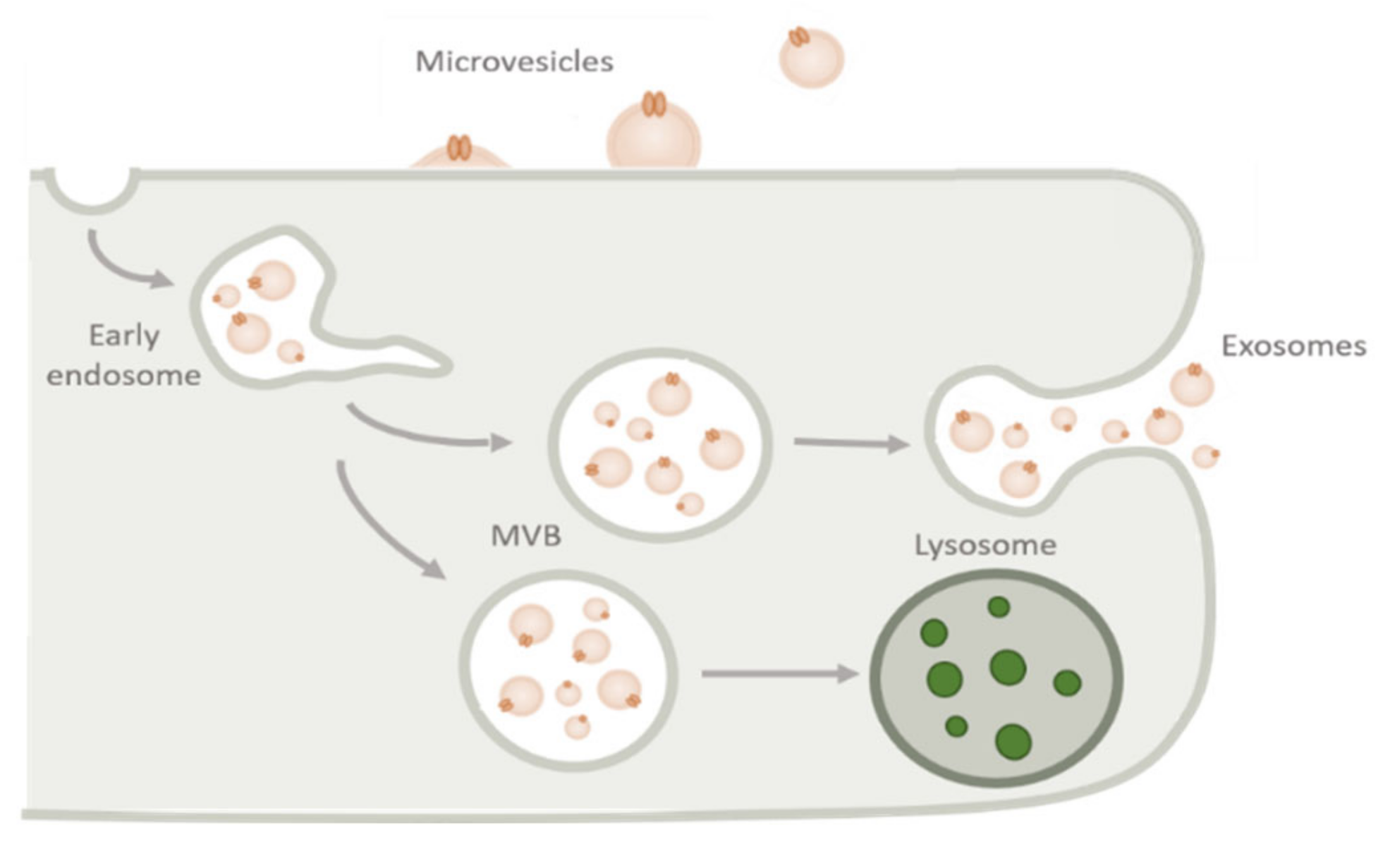 Processes 08 01561 g002 Processes 08 01561 g002