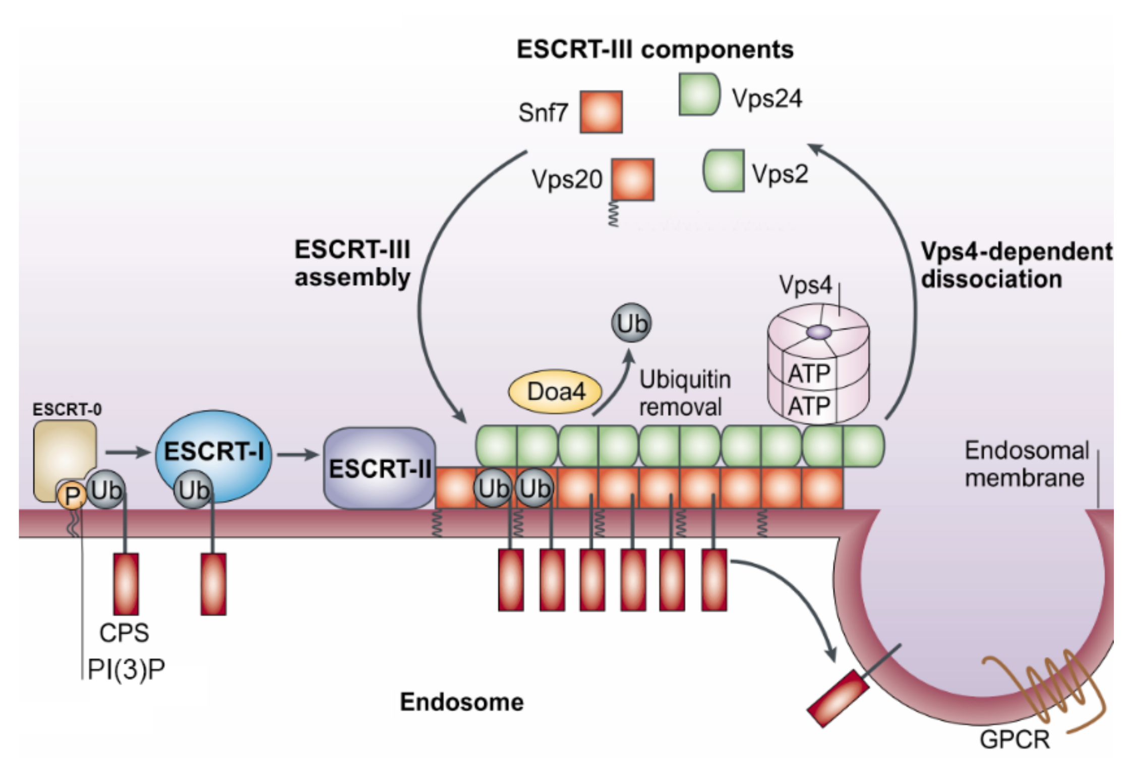 Processes 08 01561 g003 Processes 08 01561 g003