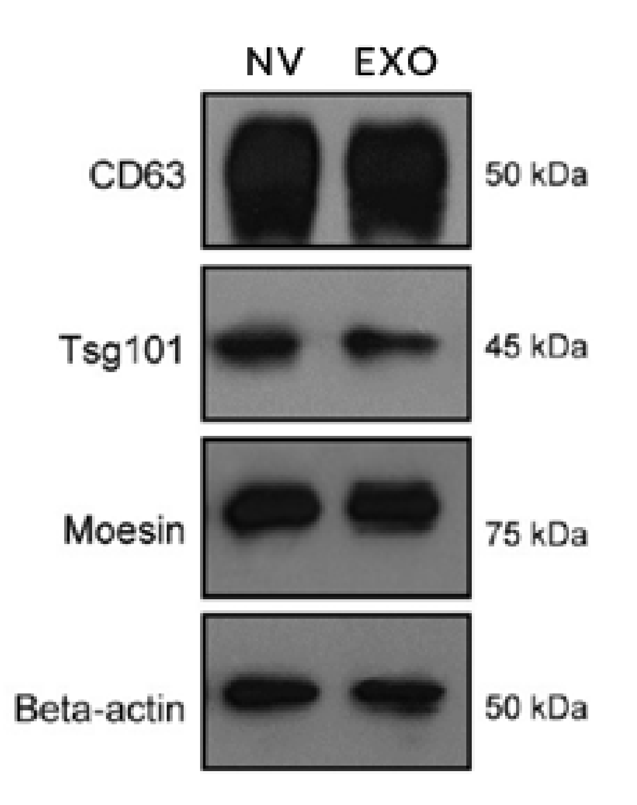 Processes 08 01561 g005 Processes 08 01561 g005