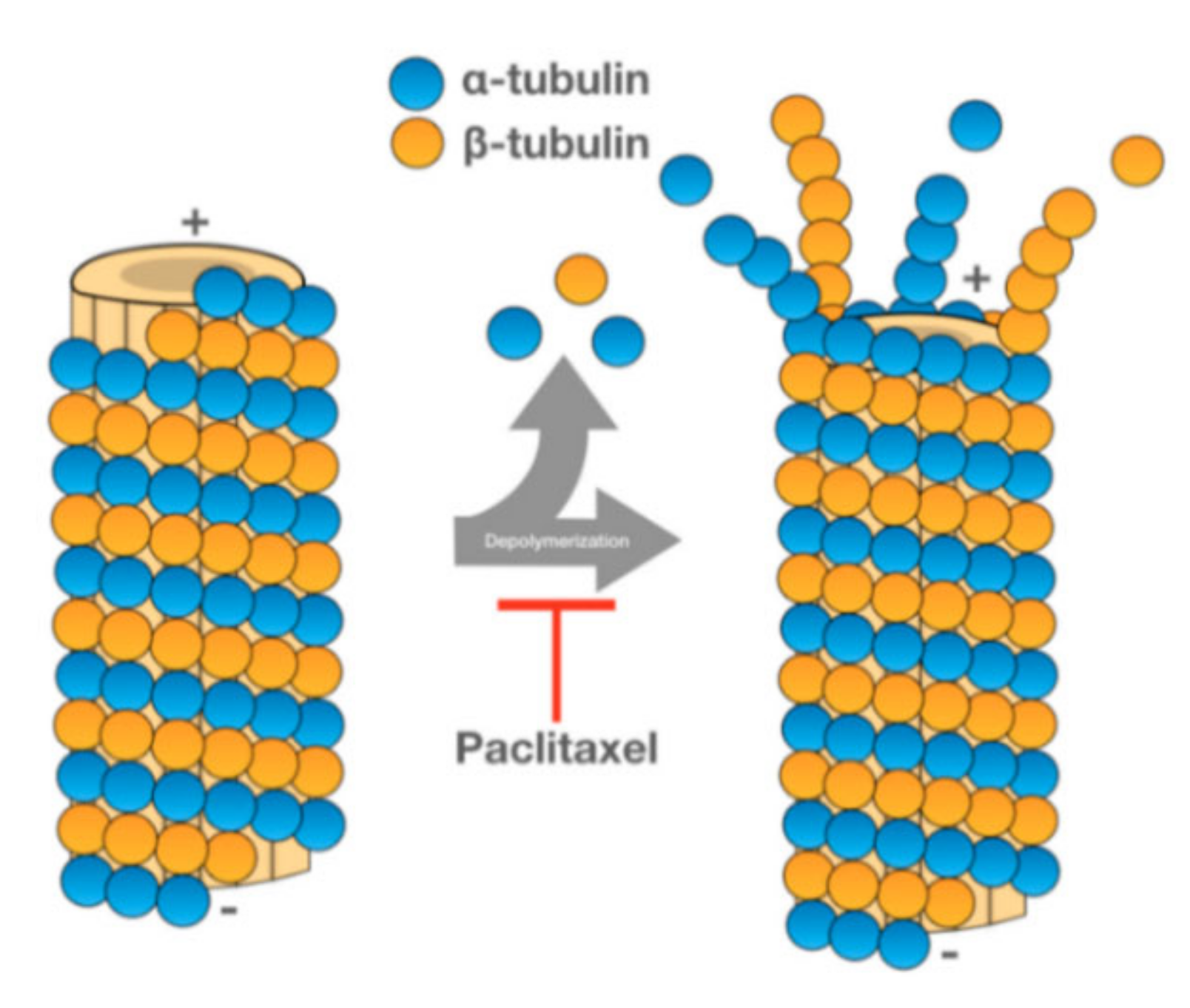 Processes 08 01561 g006 Processes 08 01561 g006