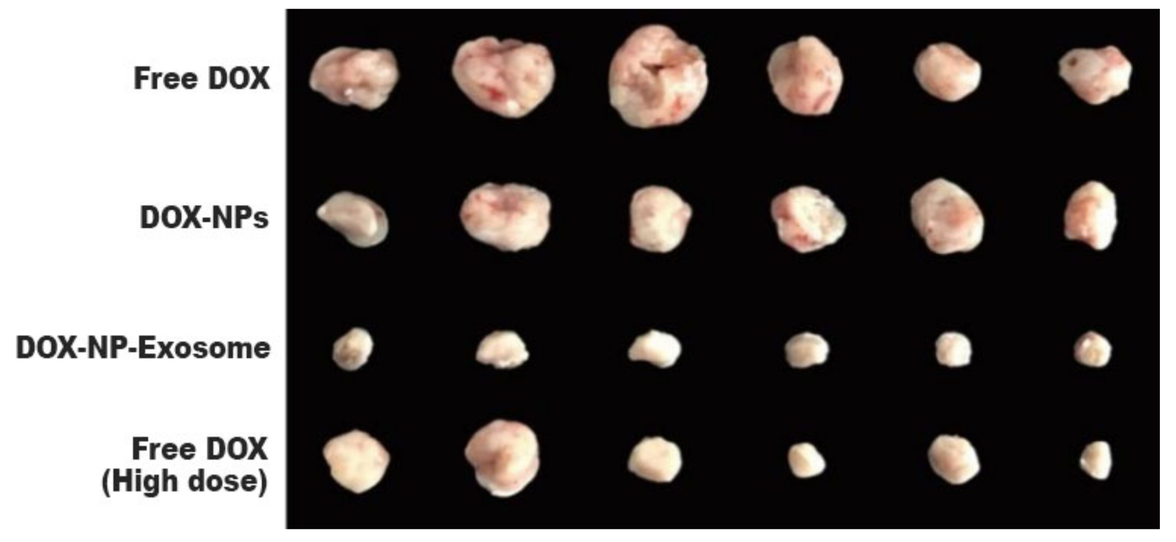 Processes 08 01561 g011 Processes 08 01561 g011