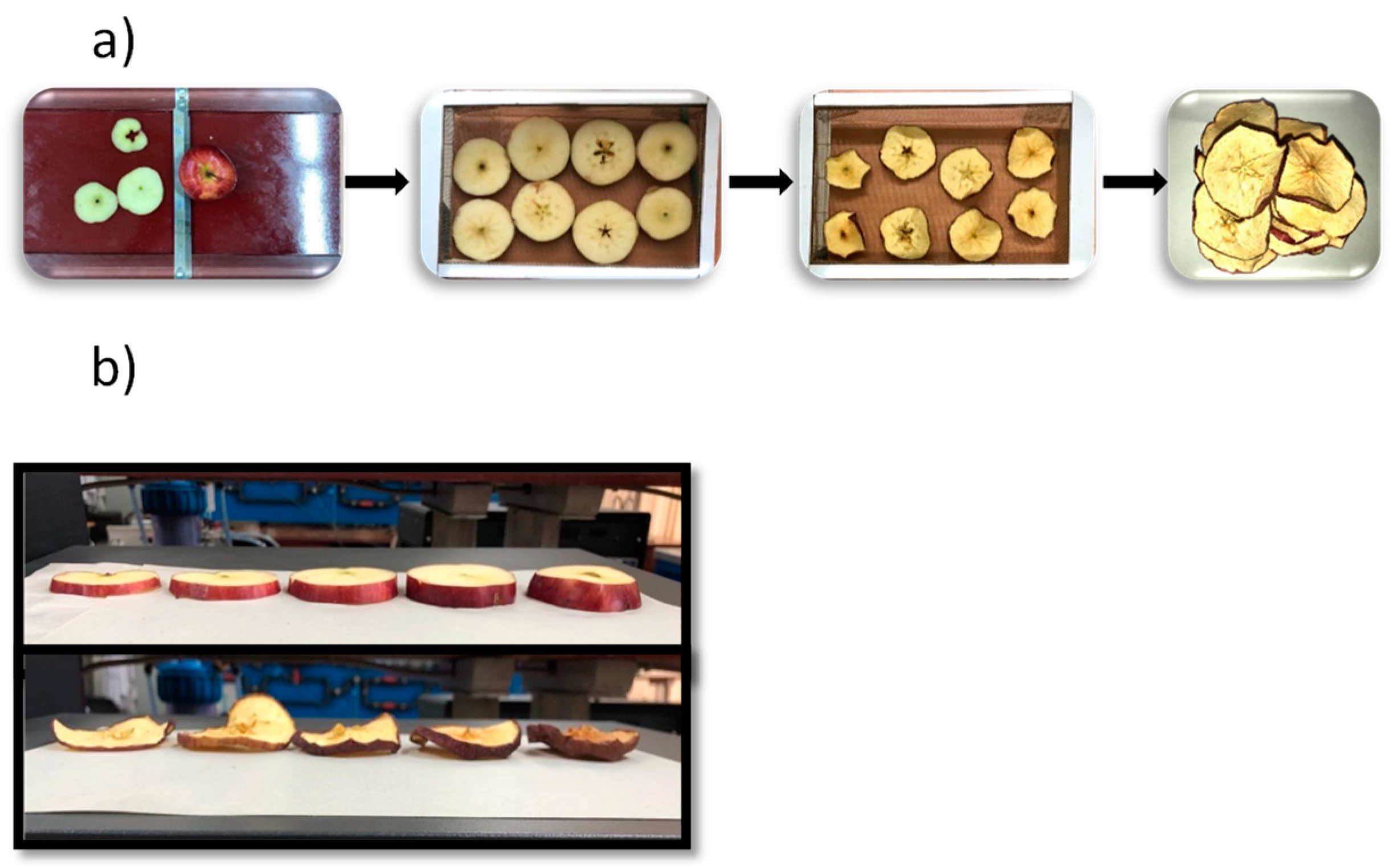 Processes 08 01562 g001