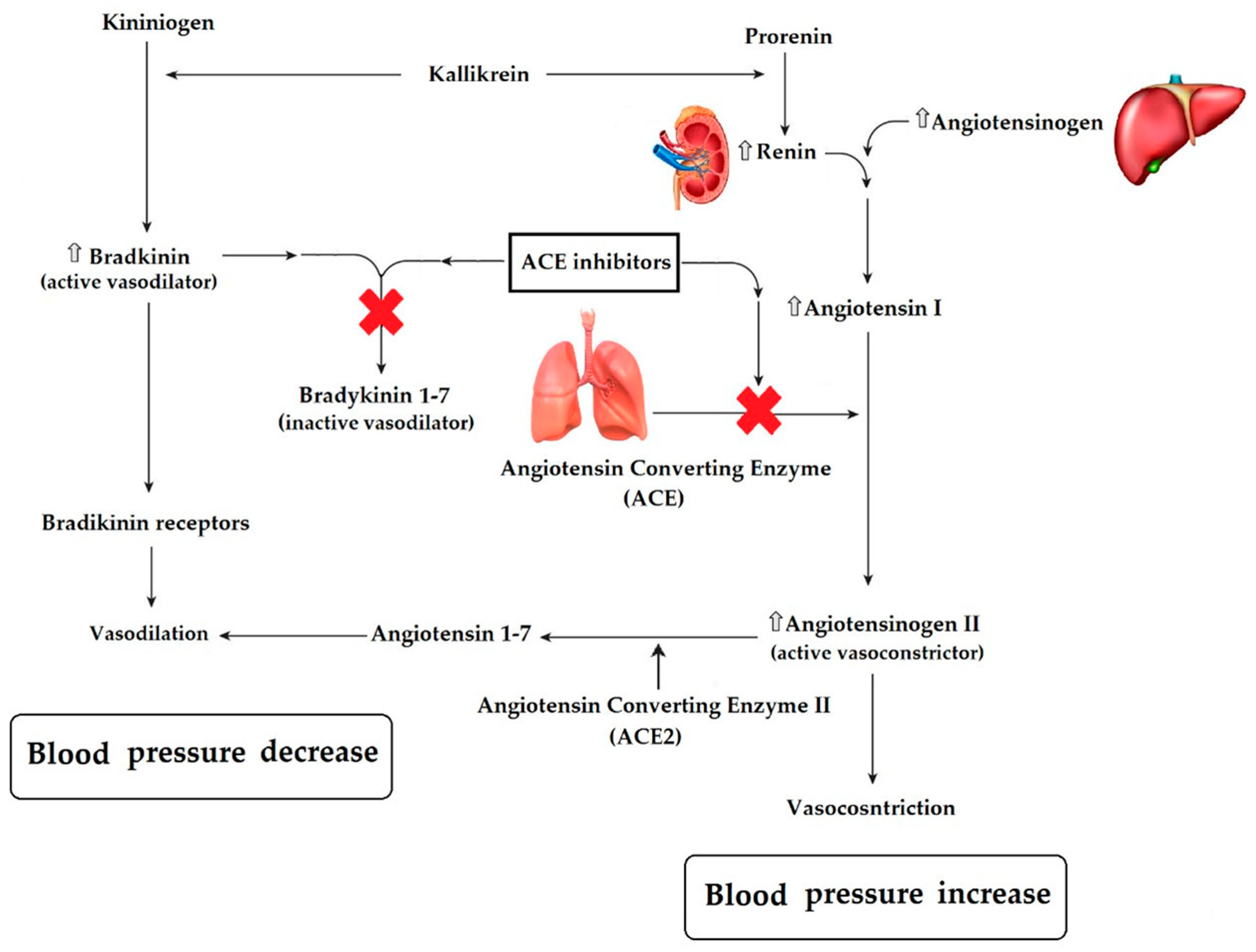 Processes 08 01566 g002