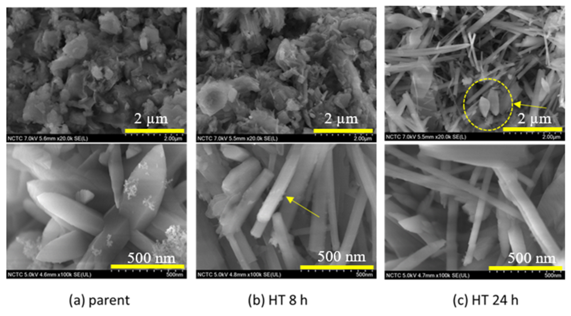 Processes 08 01569 g004