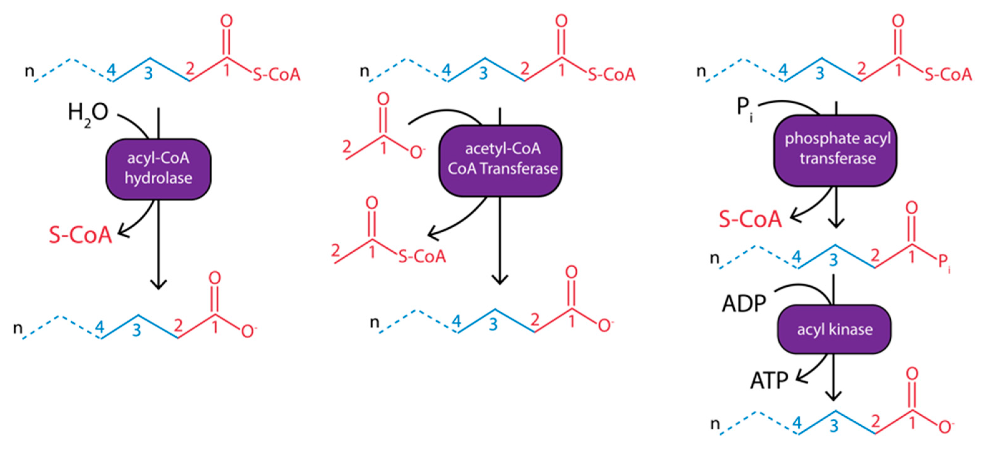 Processes 08 01571 g003