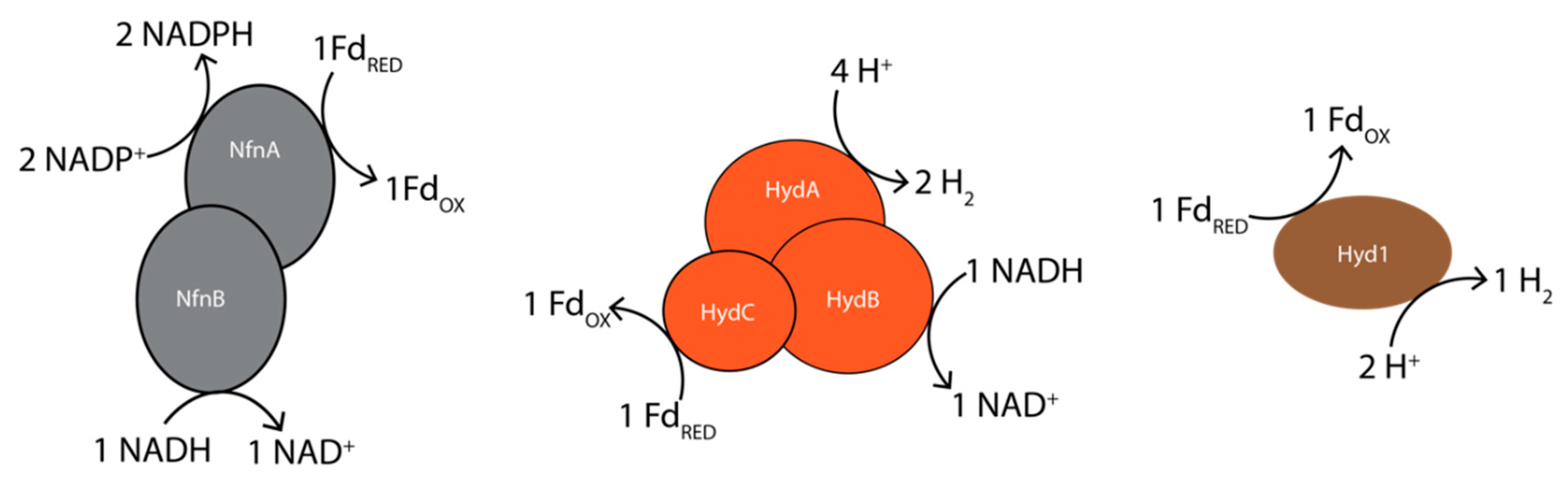 Processes 08 01571 g005